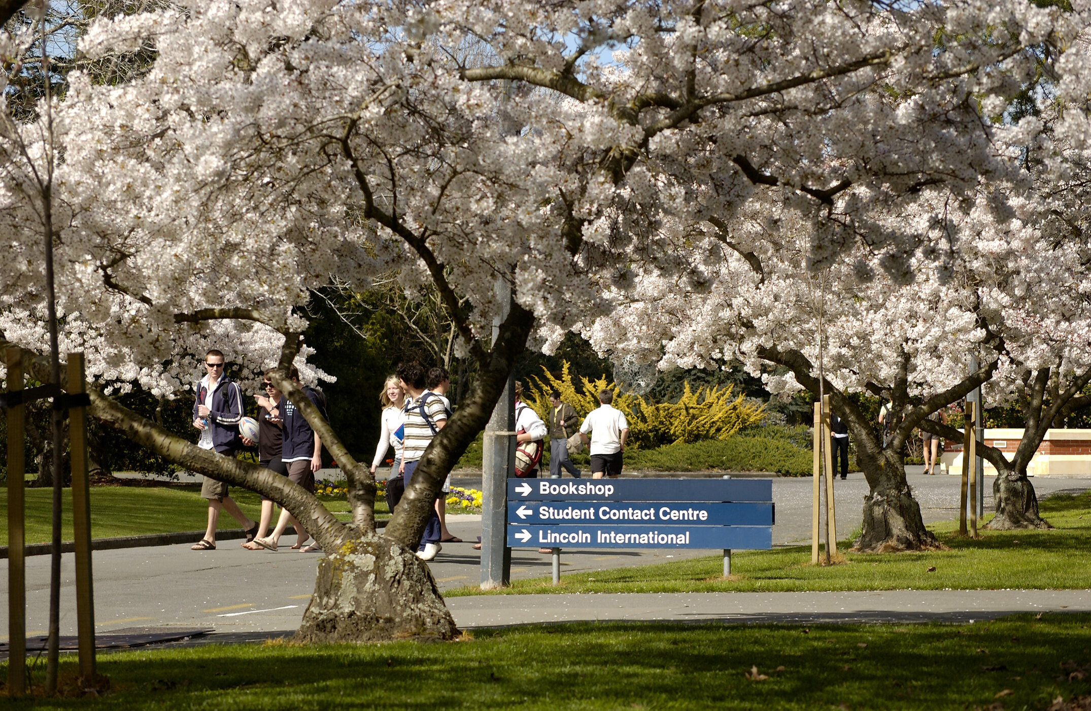 Lincoln Campus in Spring, 14 September 2006 (16)