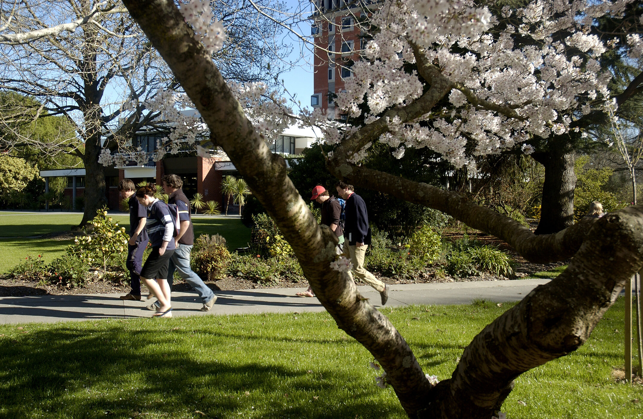 Lincoln Campus in Spring, 14 September 2006 (24)