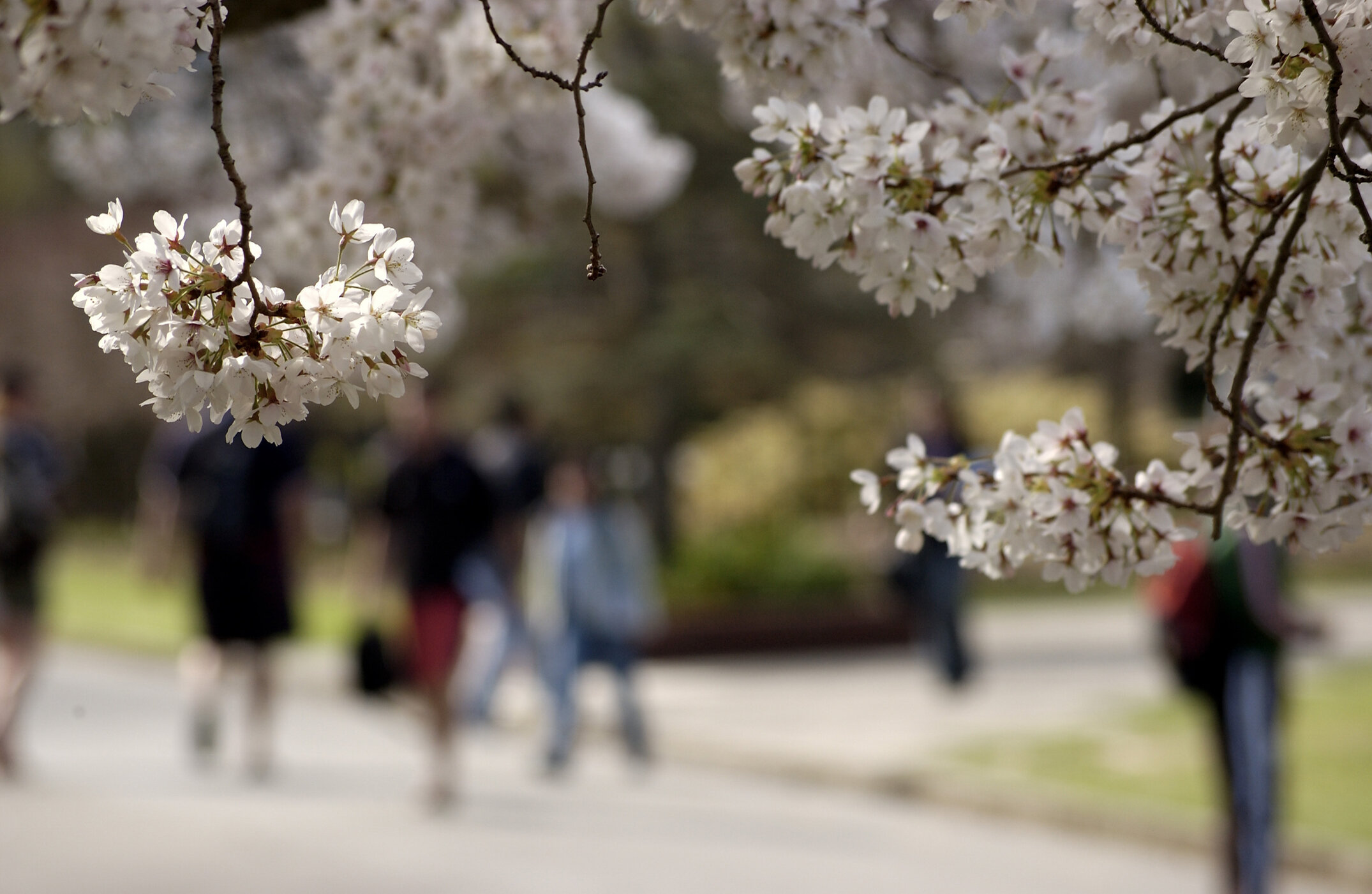 Lincoln Campus in Spring, 12 September 2006 (35)