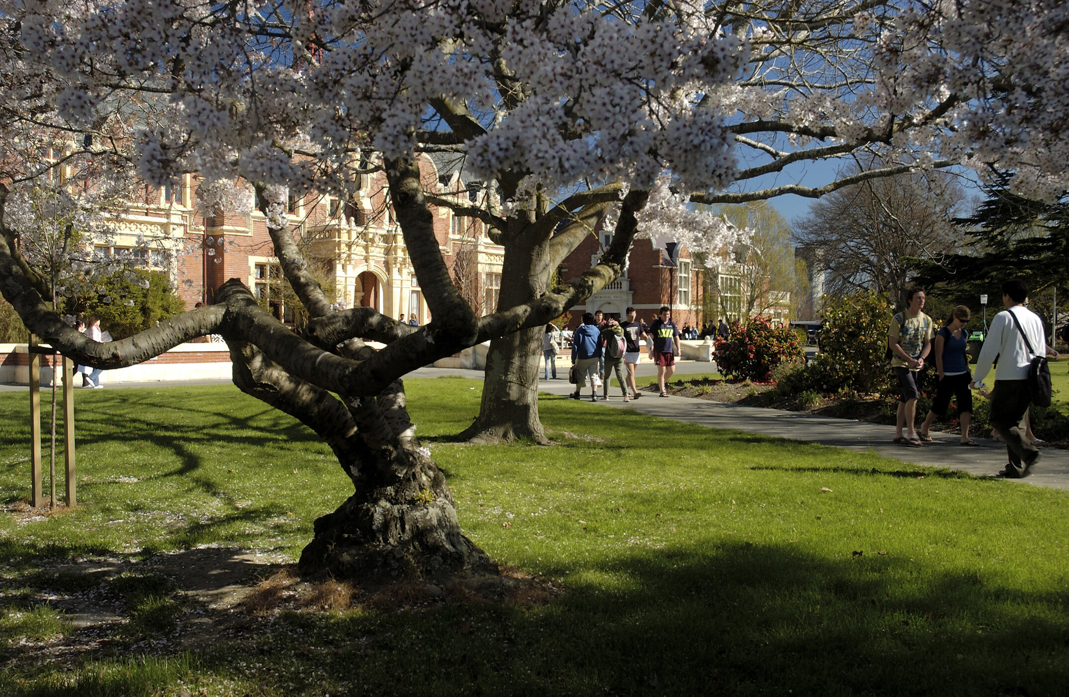 Lincoln Campus in Spring, 14 September 2006 (42)