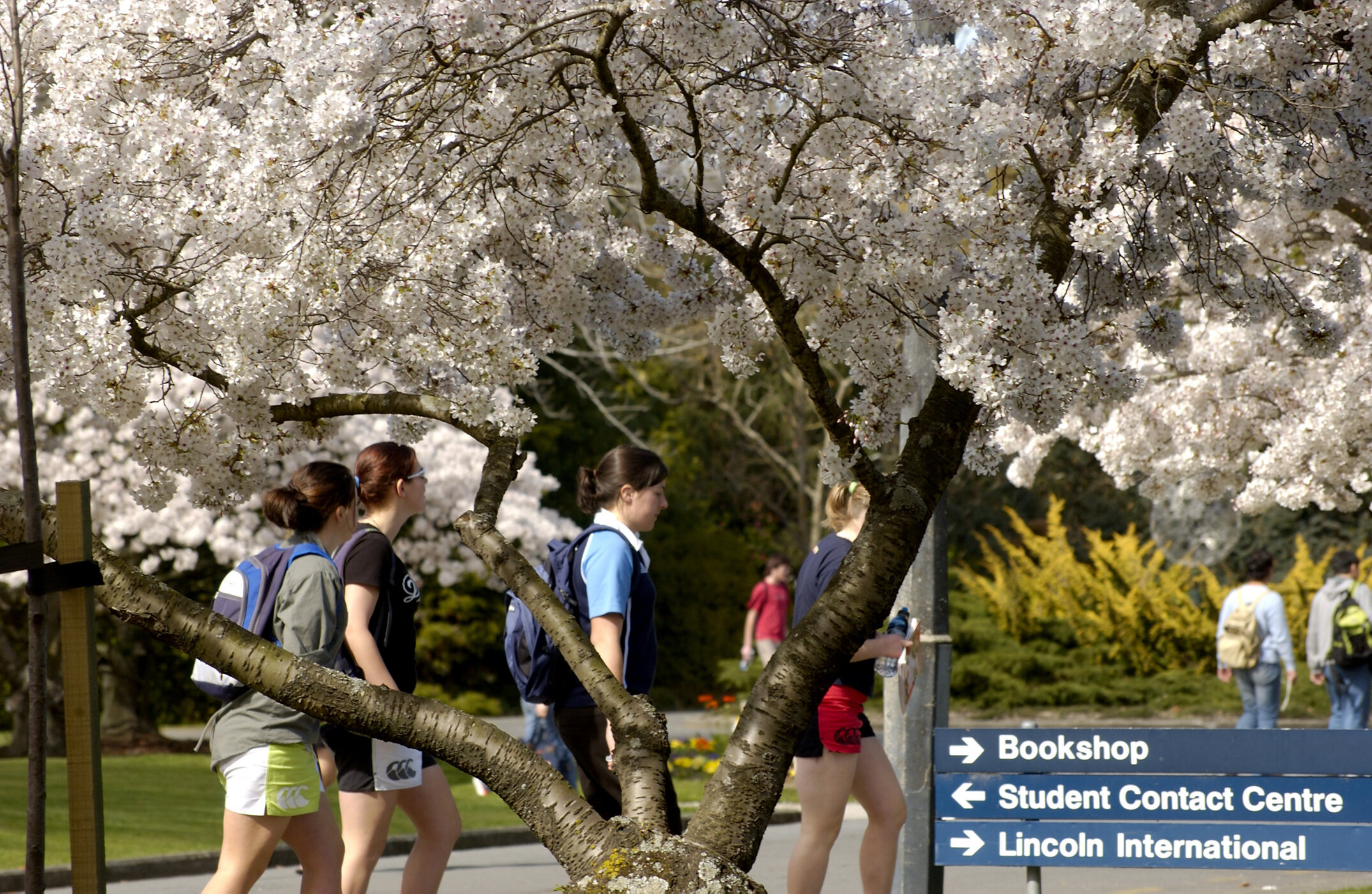 Lincoln Campus in Spring, 14 September 2006 (18)