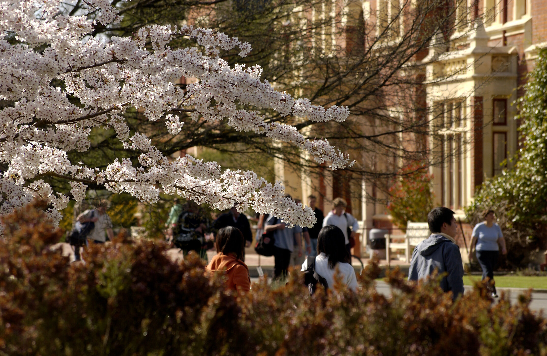 Lincoln Campus in Spring, 14 September 2006 (6)