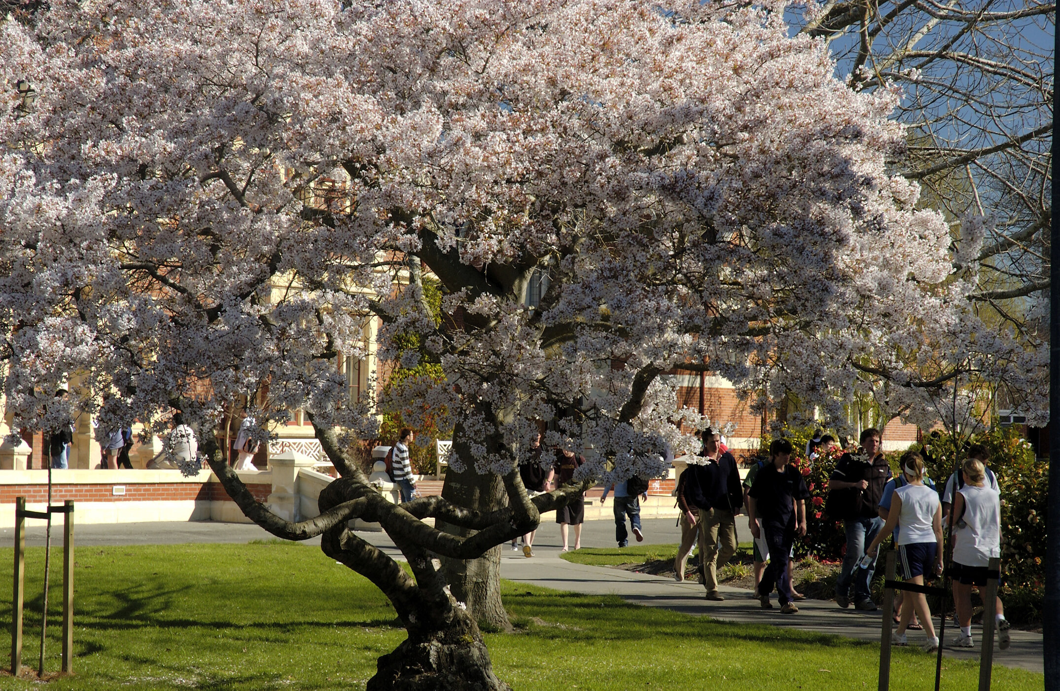 Lincoln Campus in Spring, 14 September 2006 (48)