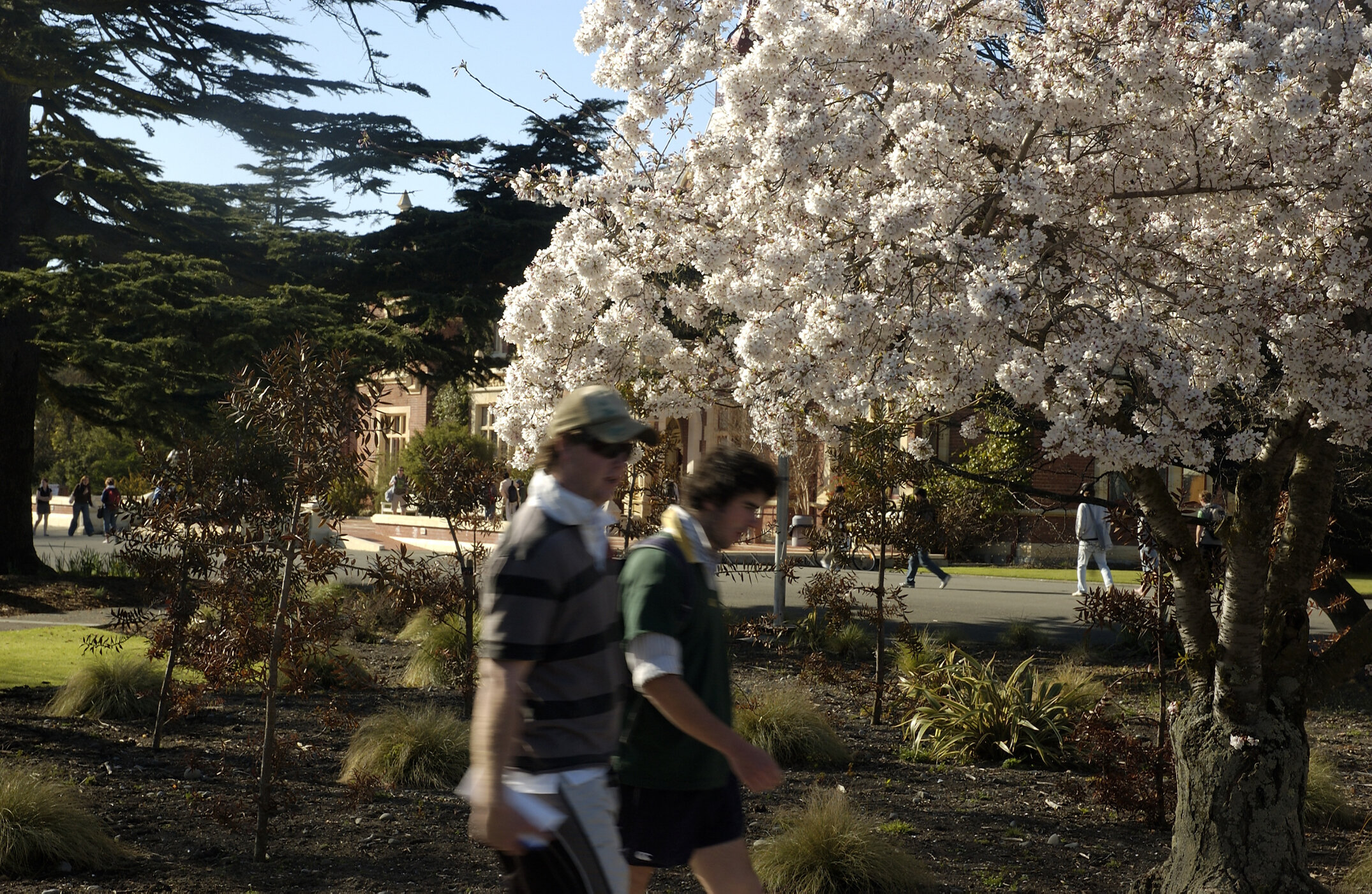 Lincoln Campus in Spring, 12 September 2006 (07)