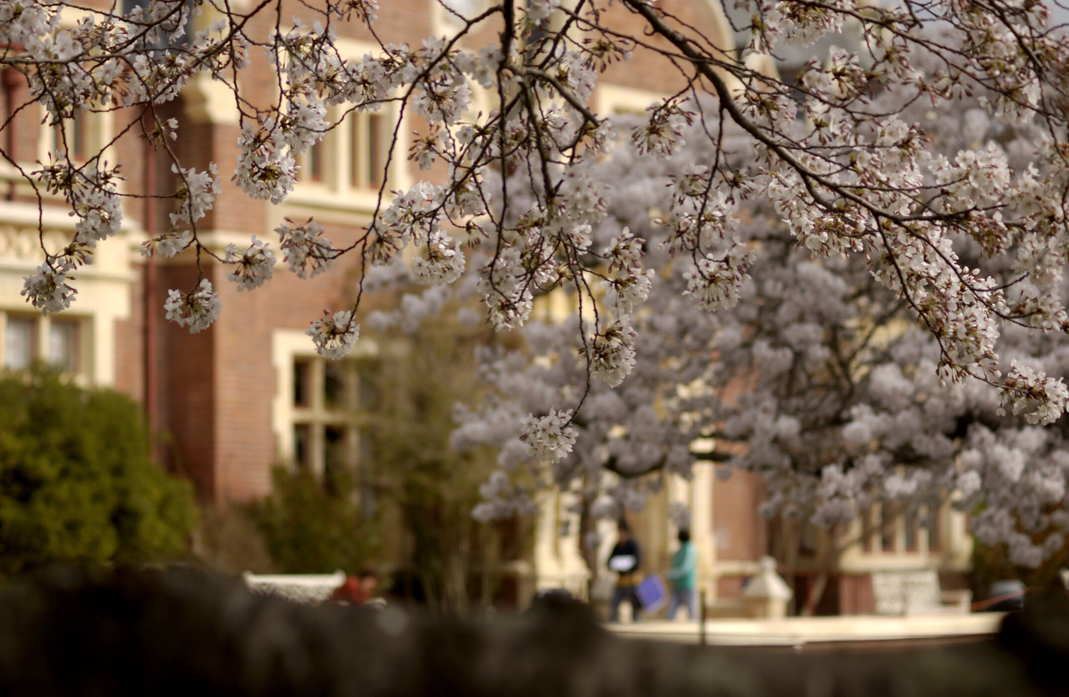 Lincoln Campus in Spring, 12 September 2006 (49)