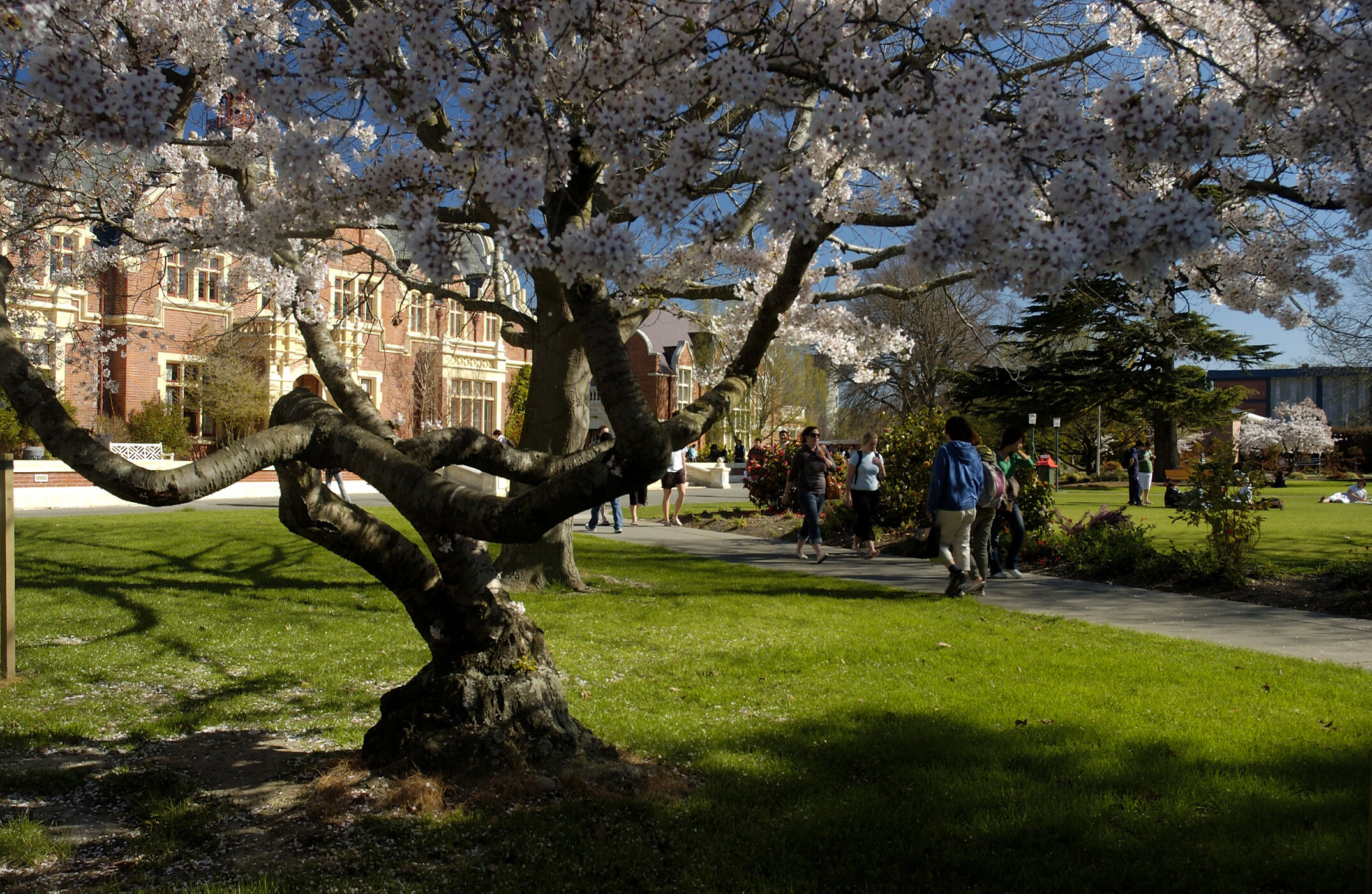 Lincoln Campus in Spring, 14 September 2006 (41)