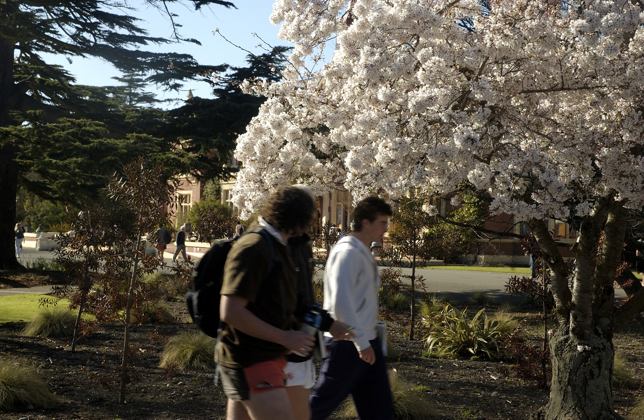 Lincoln Campus in Spring, 12 September 2006 (06)