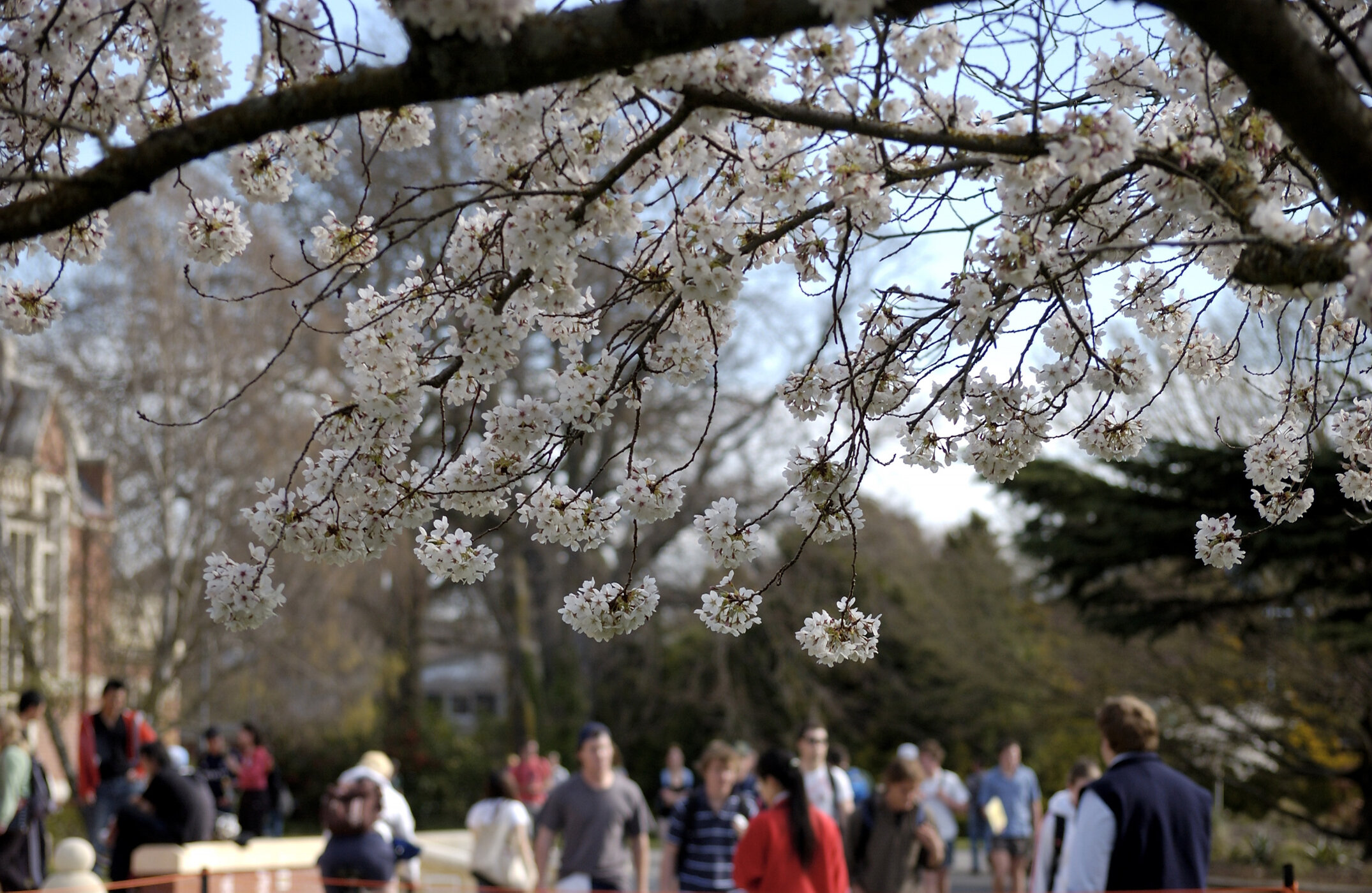 Lincoln Campus in Spring, 12 September 2006 (32)