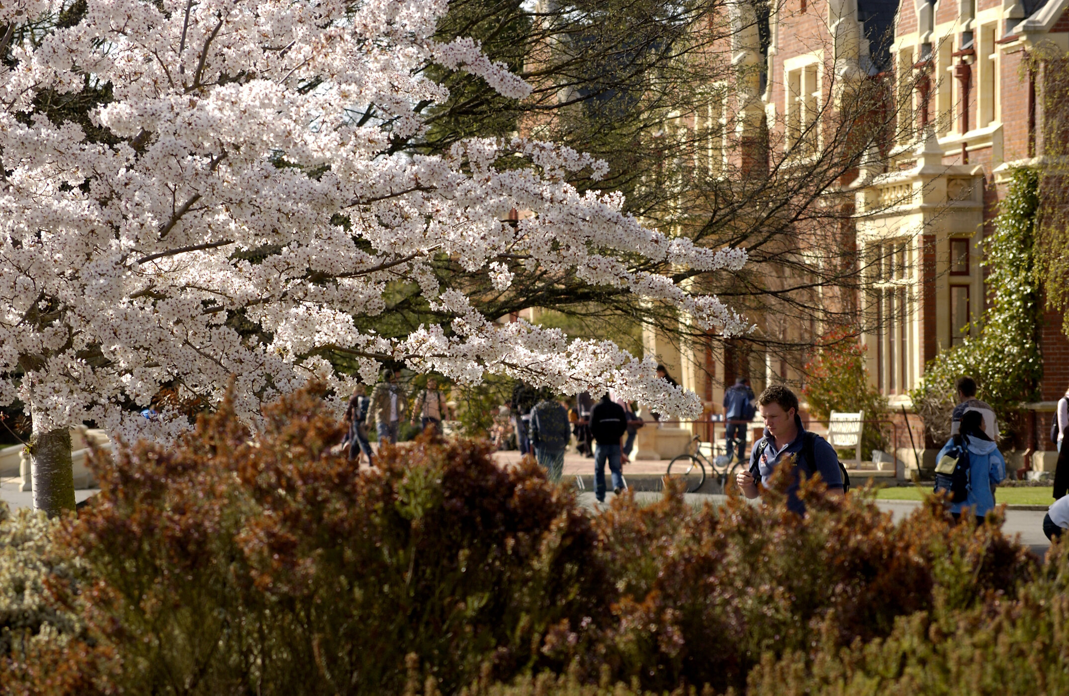 Lincoln Campus in Spring, 14 September 2006 (11)