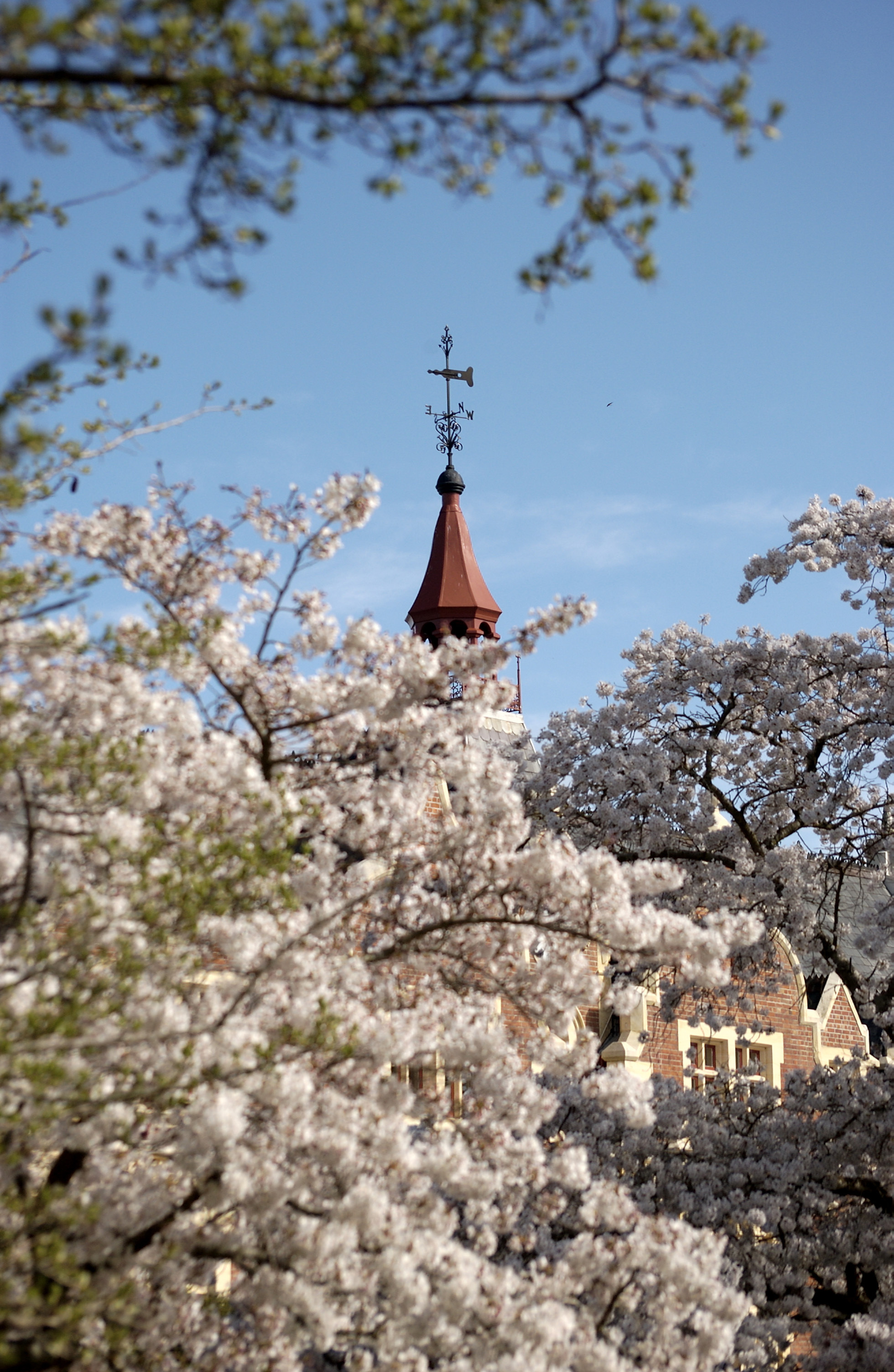 Lincoln Campus in Spring, 12 September 2006 (37)