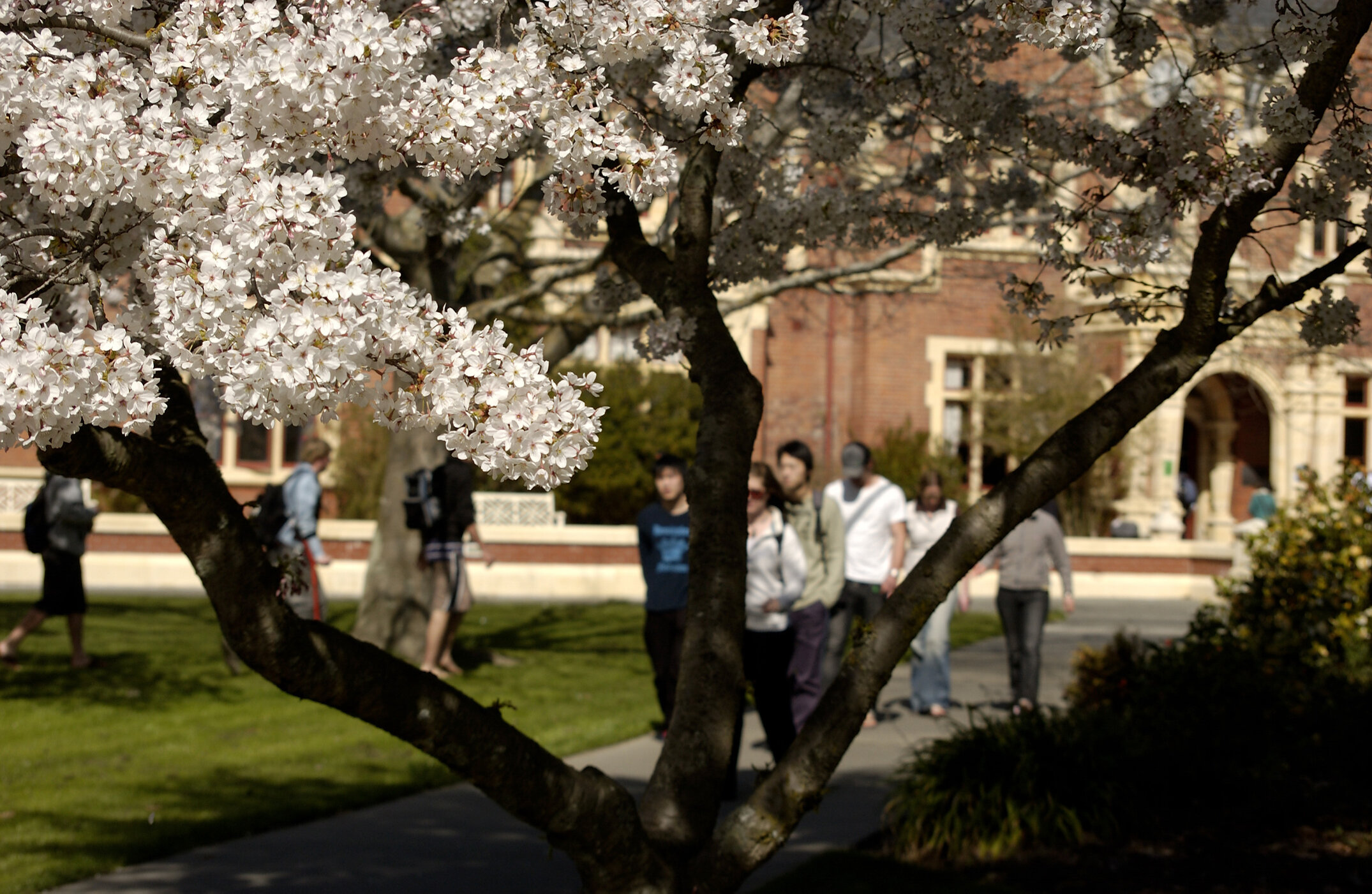 Lincoln Campus in Spring, 14 September 2006 (20)