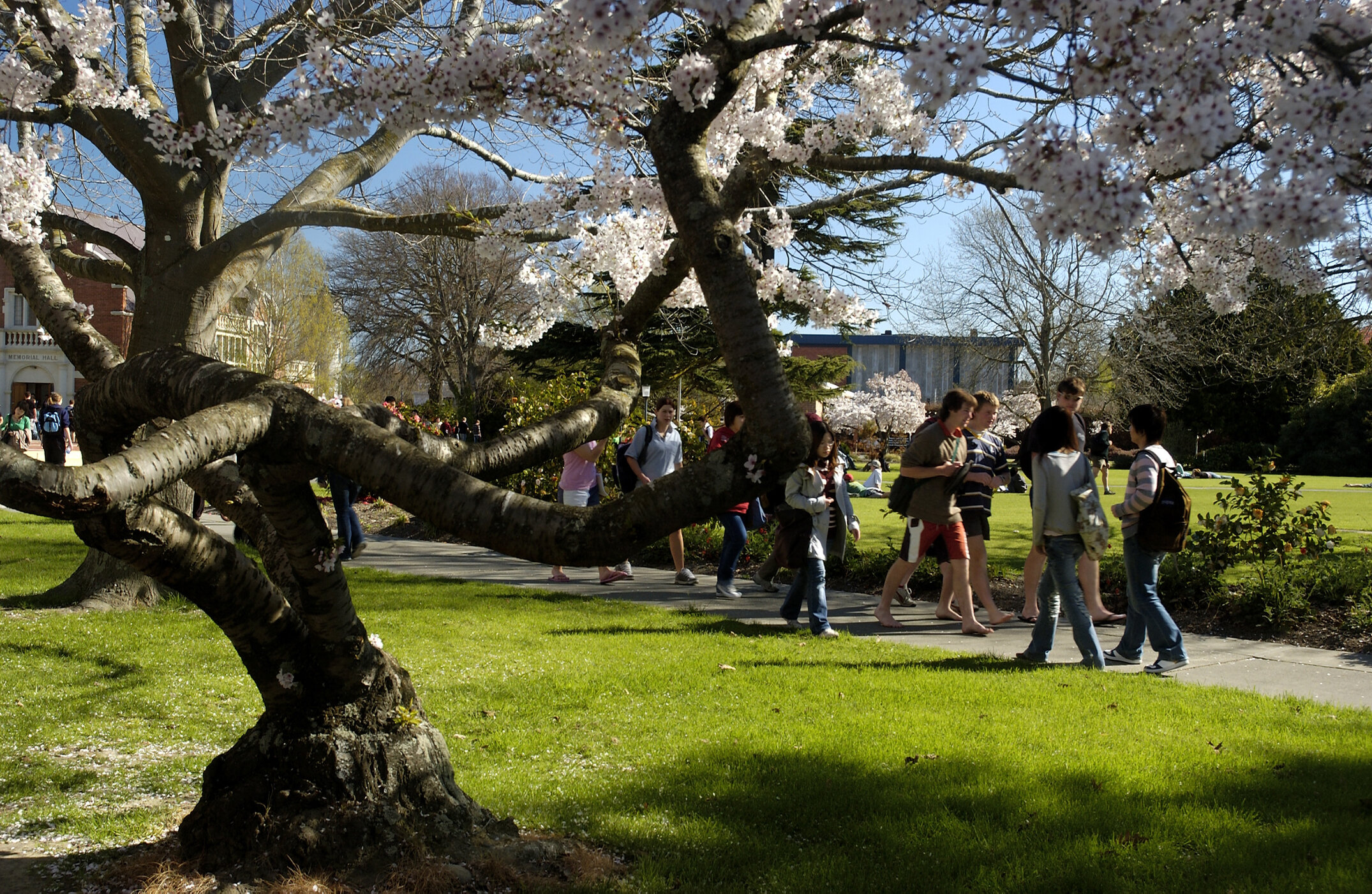 Lincoln Campus in Spring, 14 September 2006 (40)