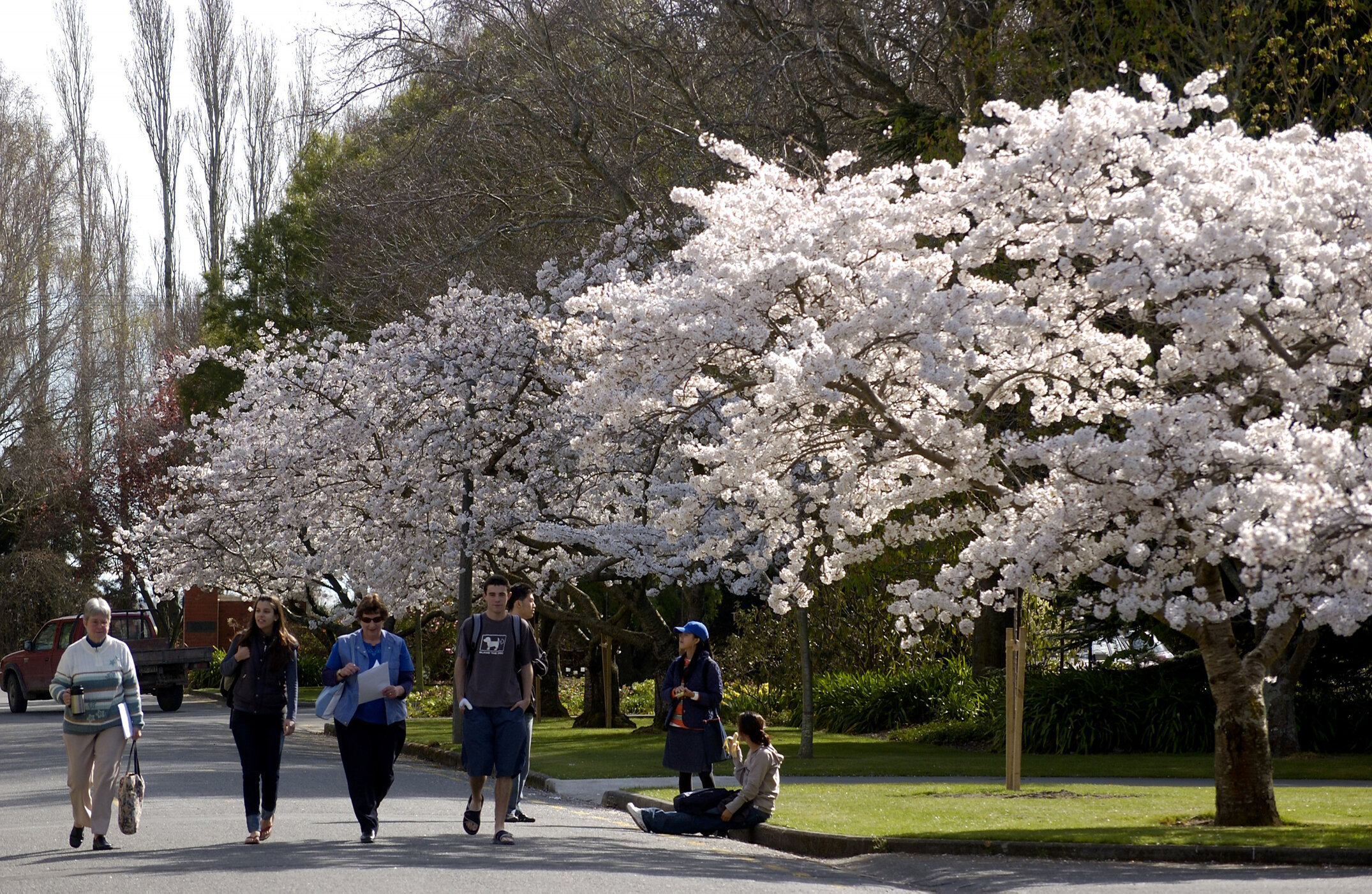 Lincoln Campus in Spring, 14 September 2006 (13)