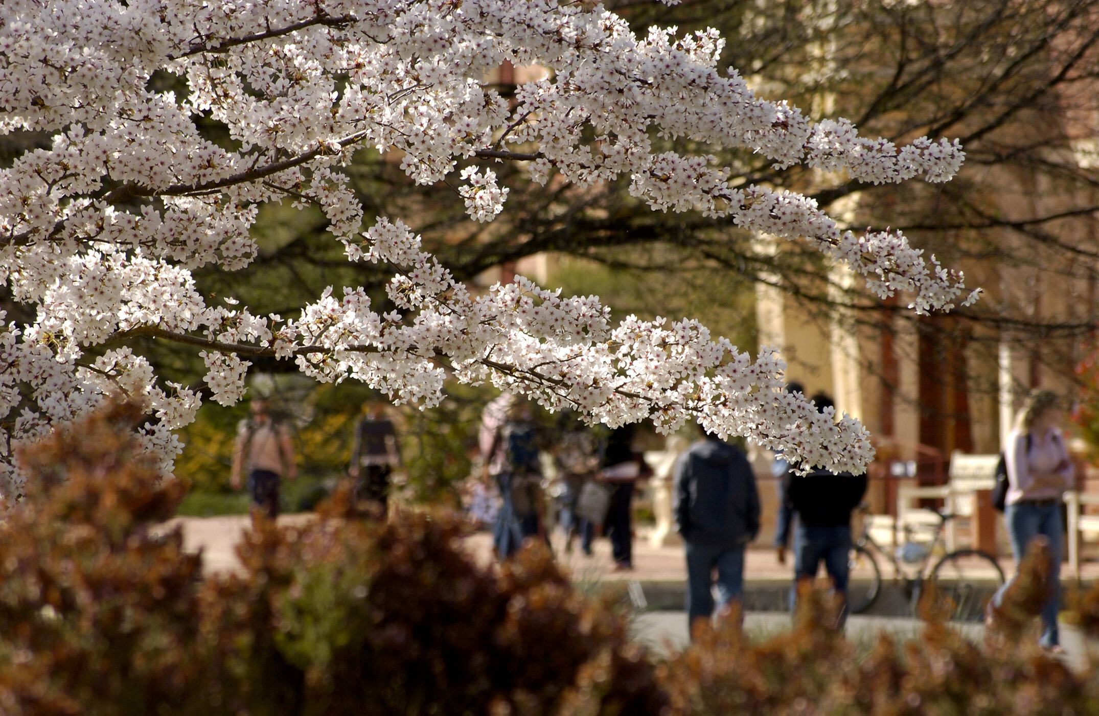 Lincoln Campus in Spring, 14 September 2006 (10)