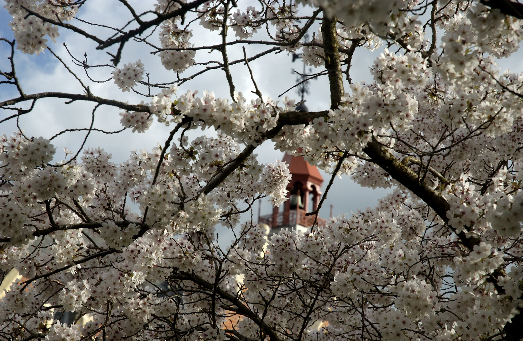 Lincoln Campus in Spring, 14 September 2006 (23)