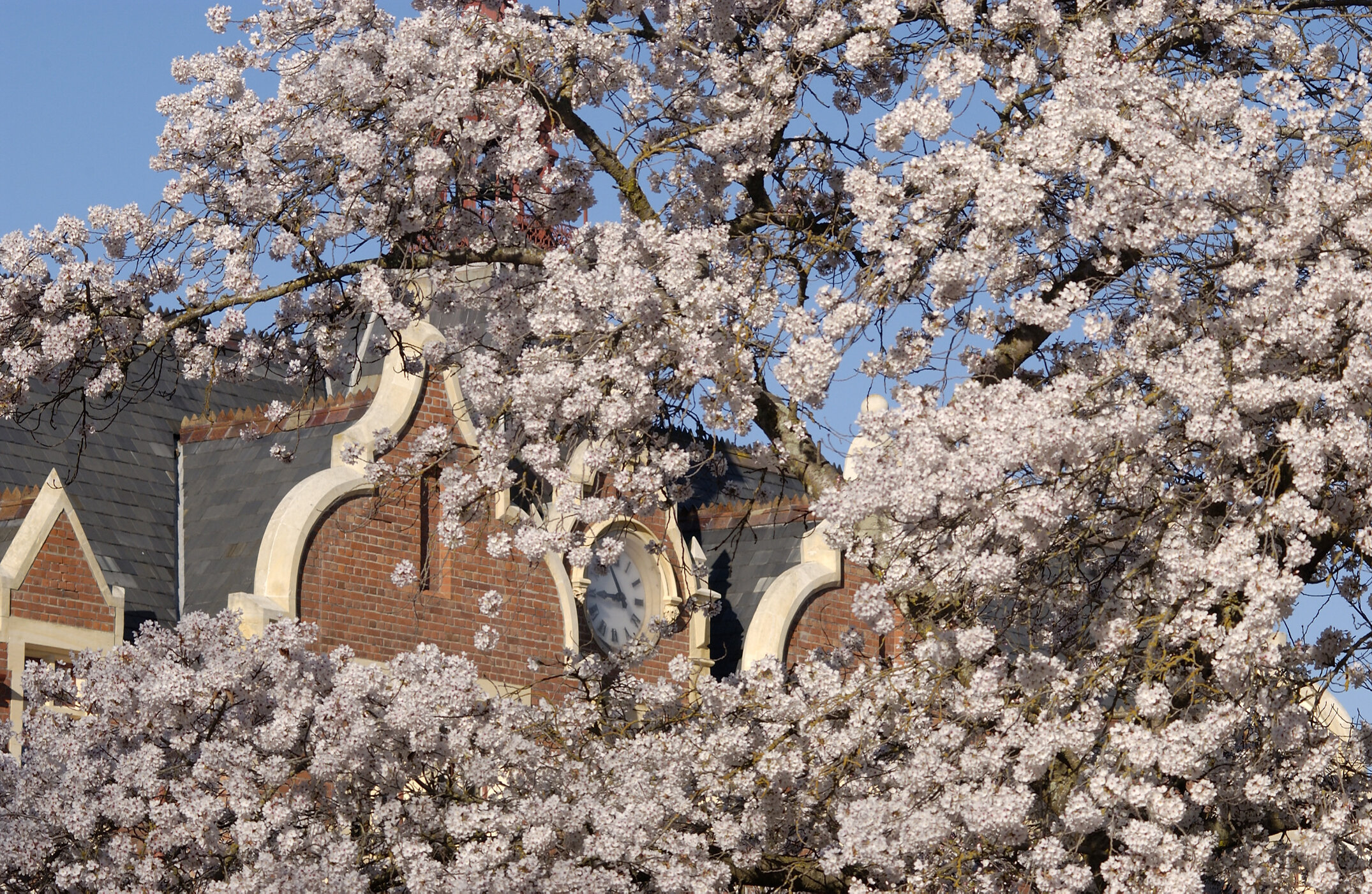 Lincoln Campus in Spring, 12 September 2006 (18)