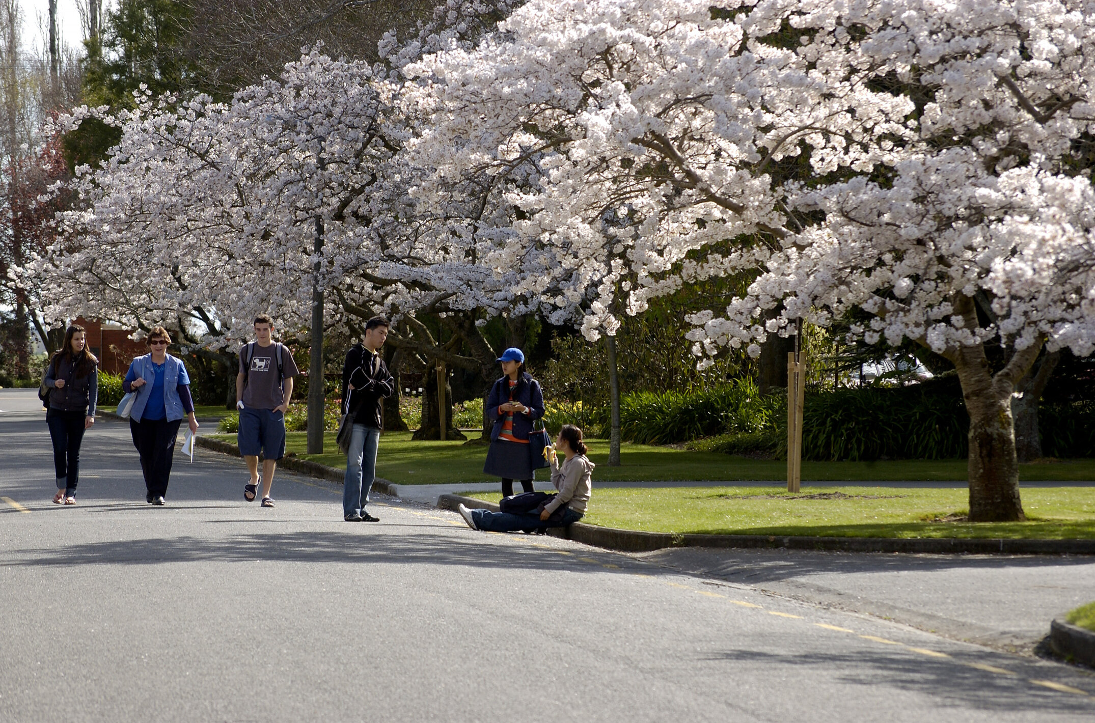 Lincoln Campus in Spring, 14 September 2006 (12)