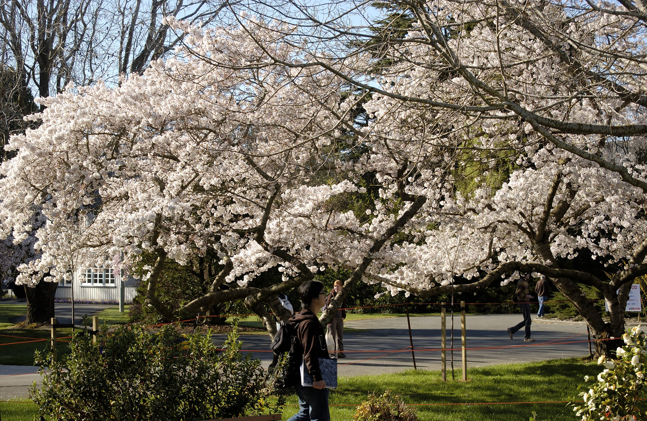 Lincoln Campus in Spring, 12 September 2006 (09)