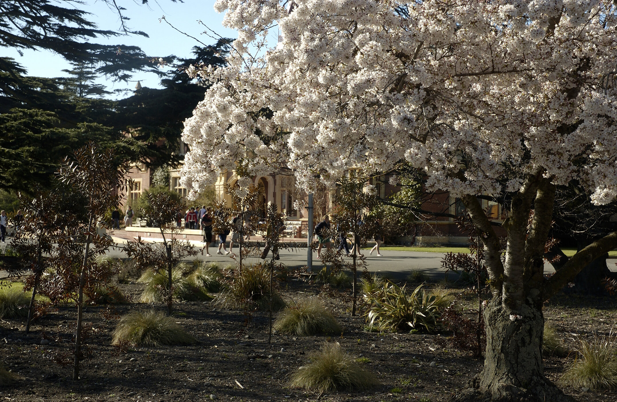 Lincoln Campus in Spring, 12 September 2006 (08)
