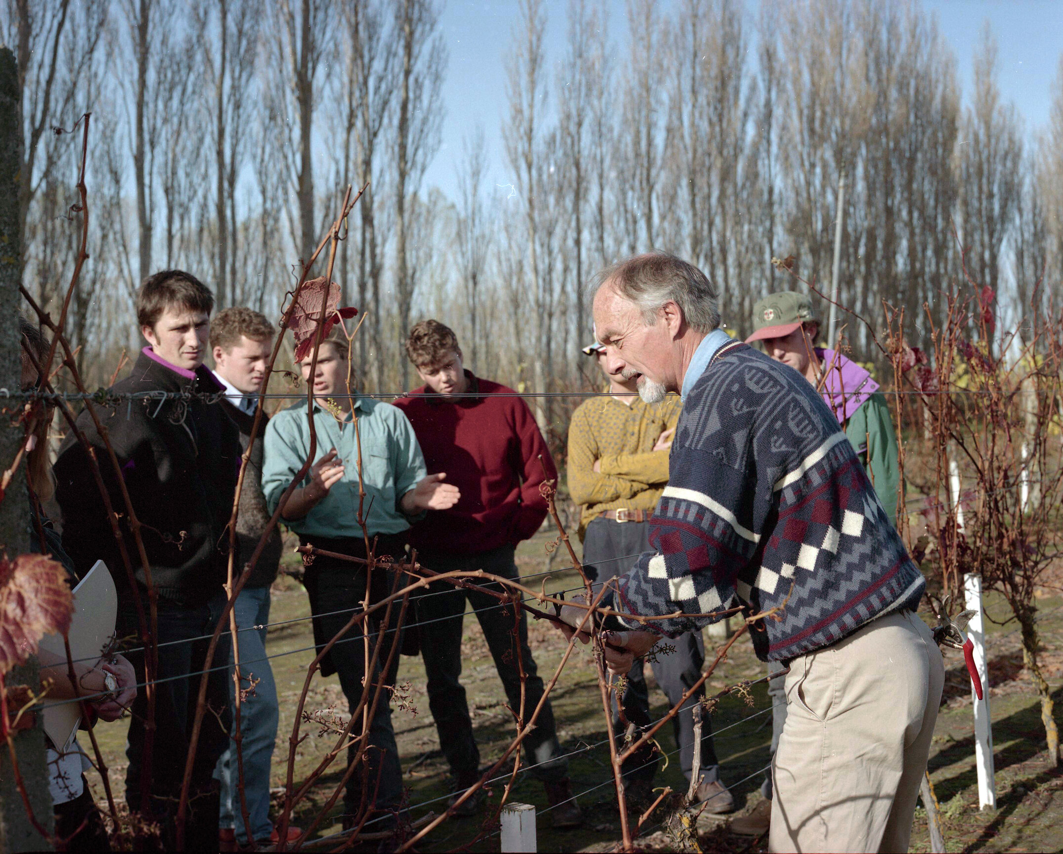 Students pay close attention as Dr David Jackson explains vine growth, 1993
