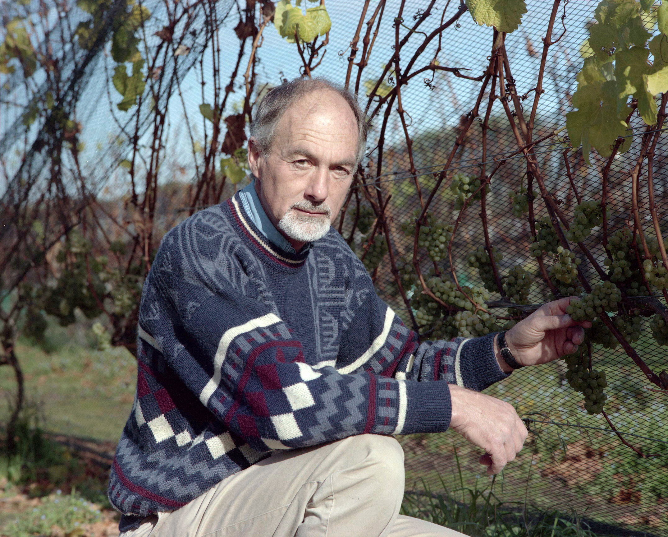 Dr David Jackson in the Horticultural Research Area at Lincoln University, 1993