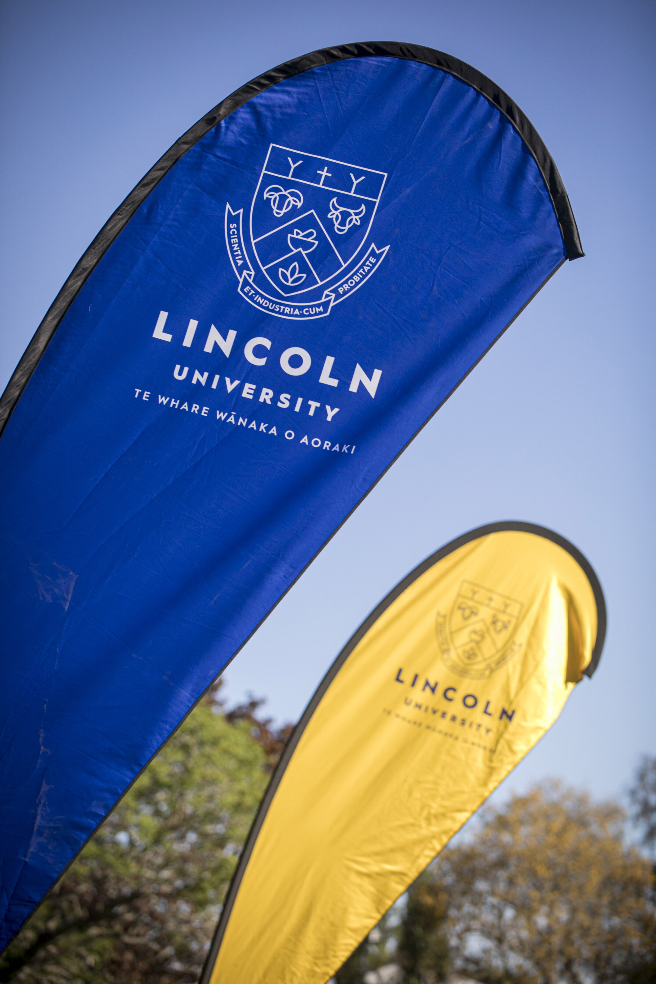 2025 Blues and Golds Awards 018