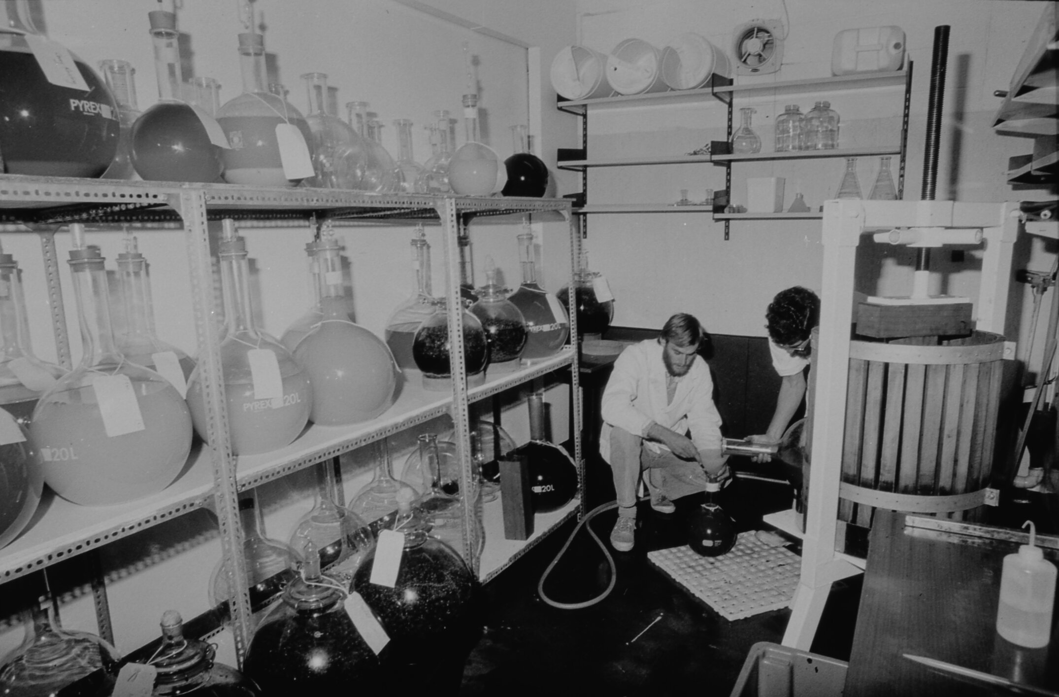 Lincoln College Wine Laboratory, July 1988