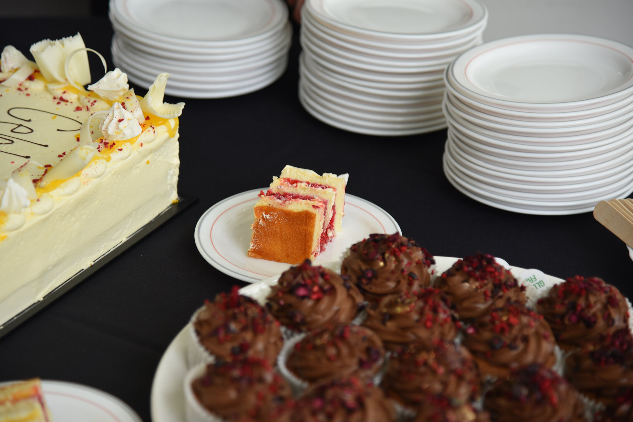 2025 State of the Nation's Environment Address and DEM 50 Year Symposium (81)