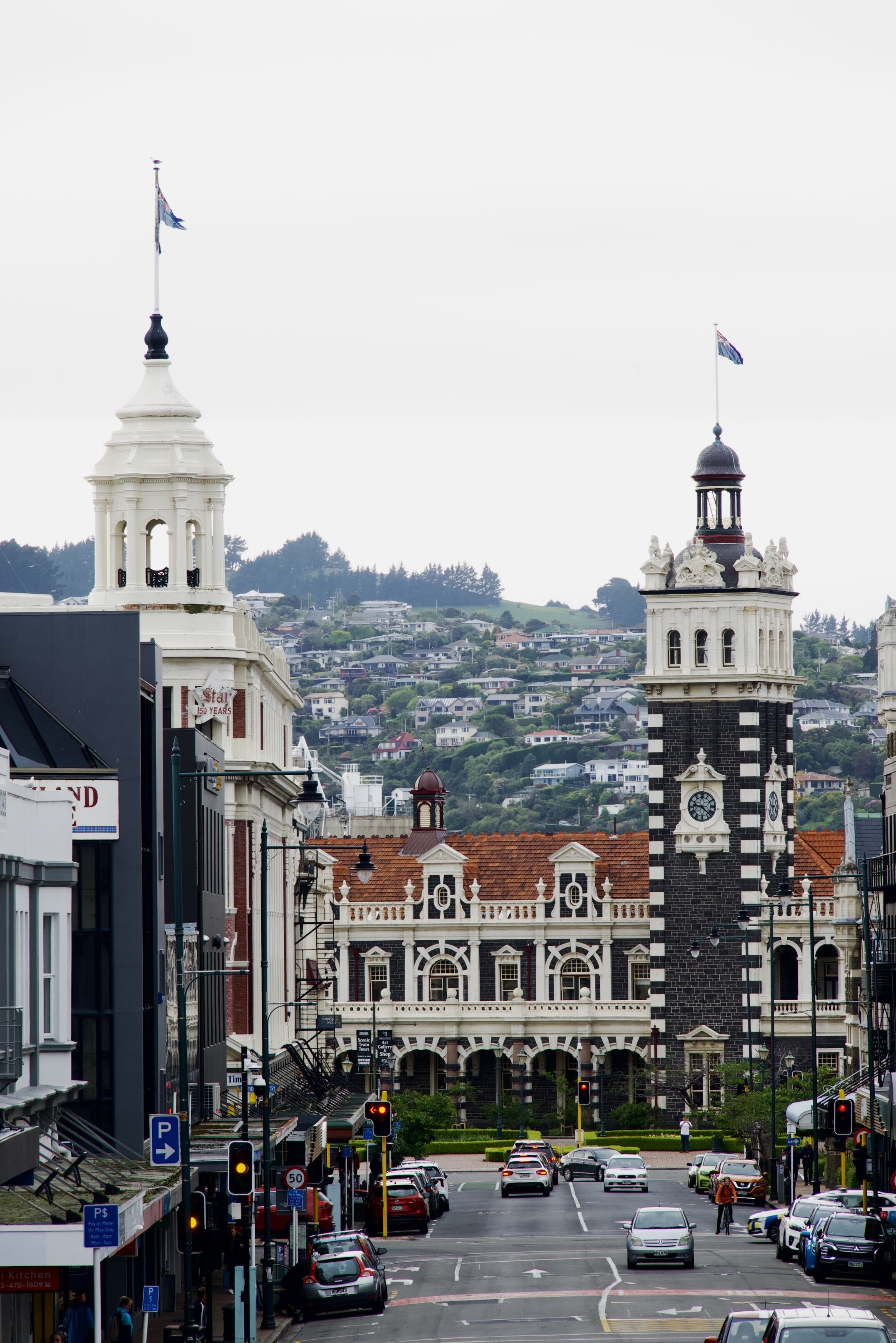 Morning, Dunedin