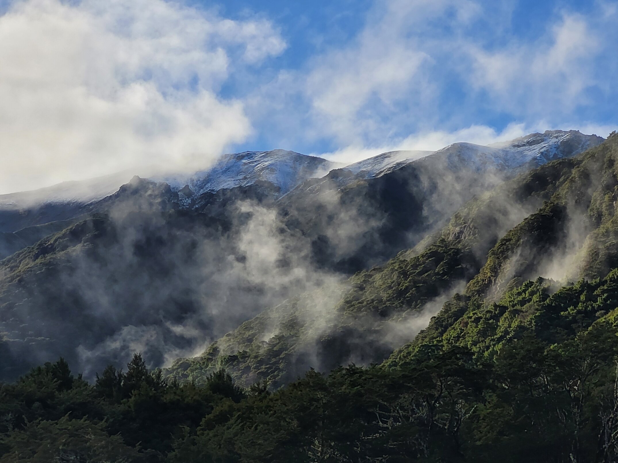 Misty morning in the South Branch of the Hurunui River