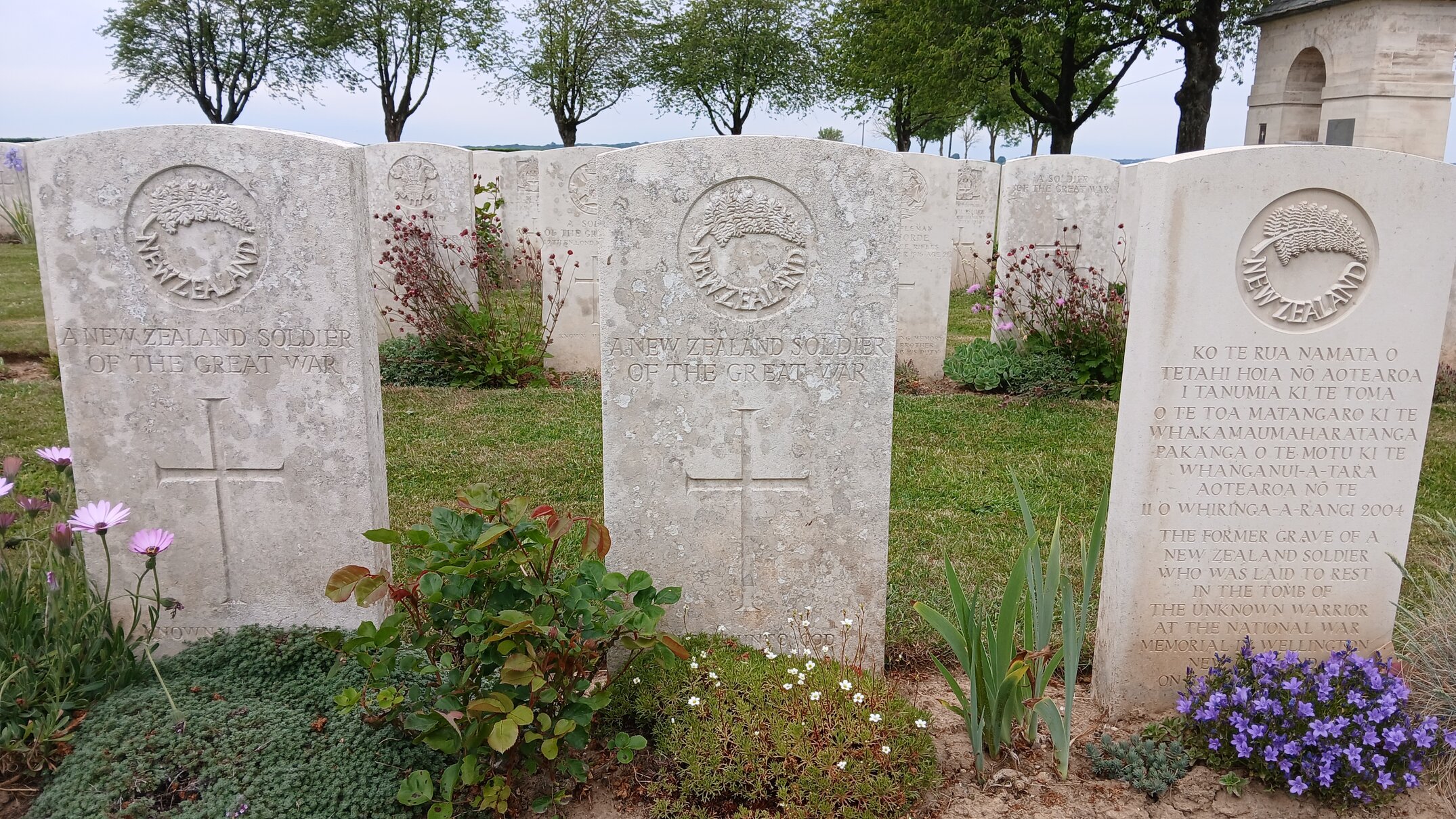 Three unknown New Zealand soldiers lie in Caterpillar Valley Cemetery.