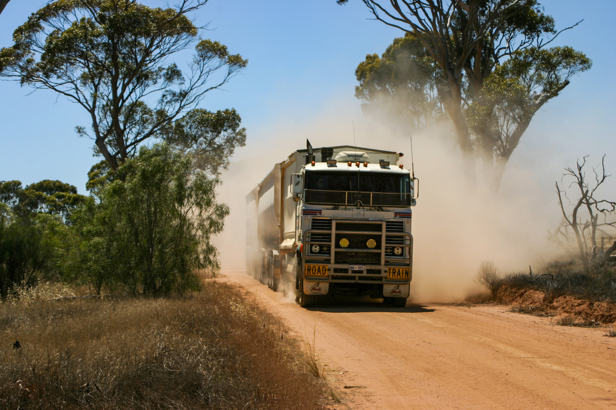 Road Train carting wheat in Western Australia 