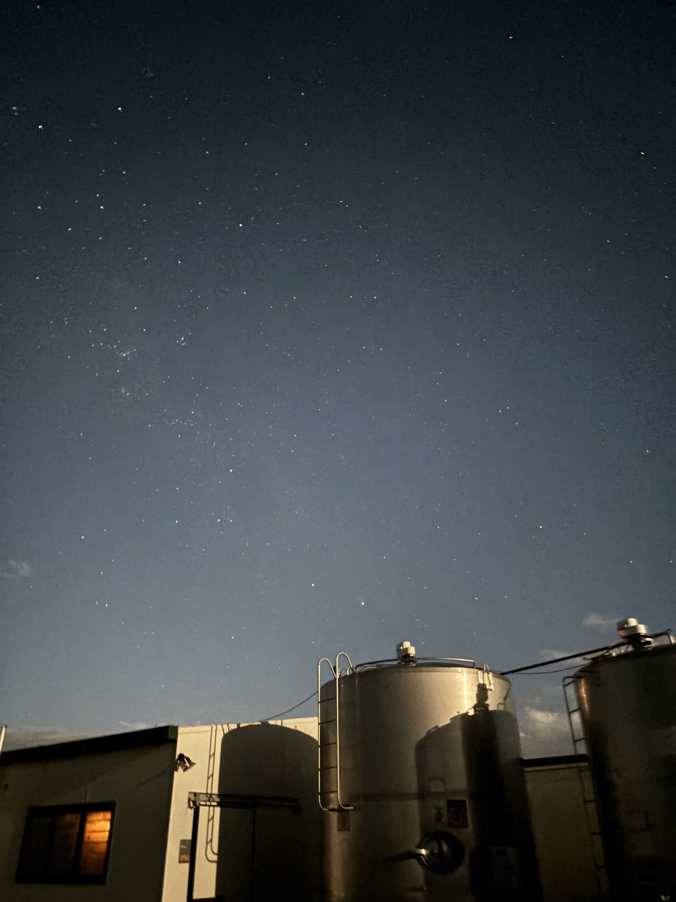 Starry Starry Morning