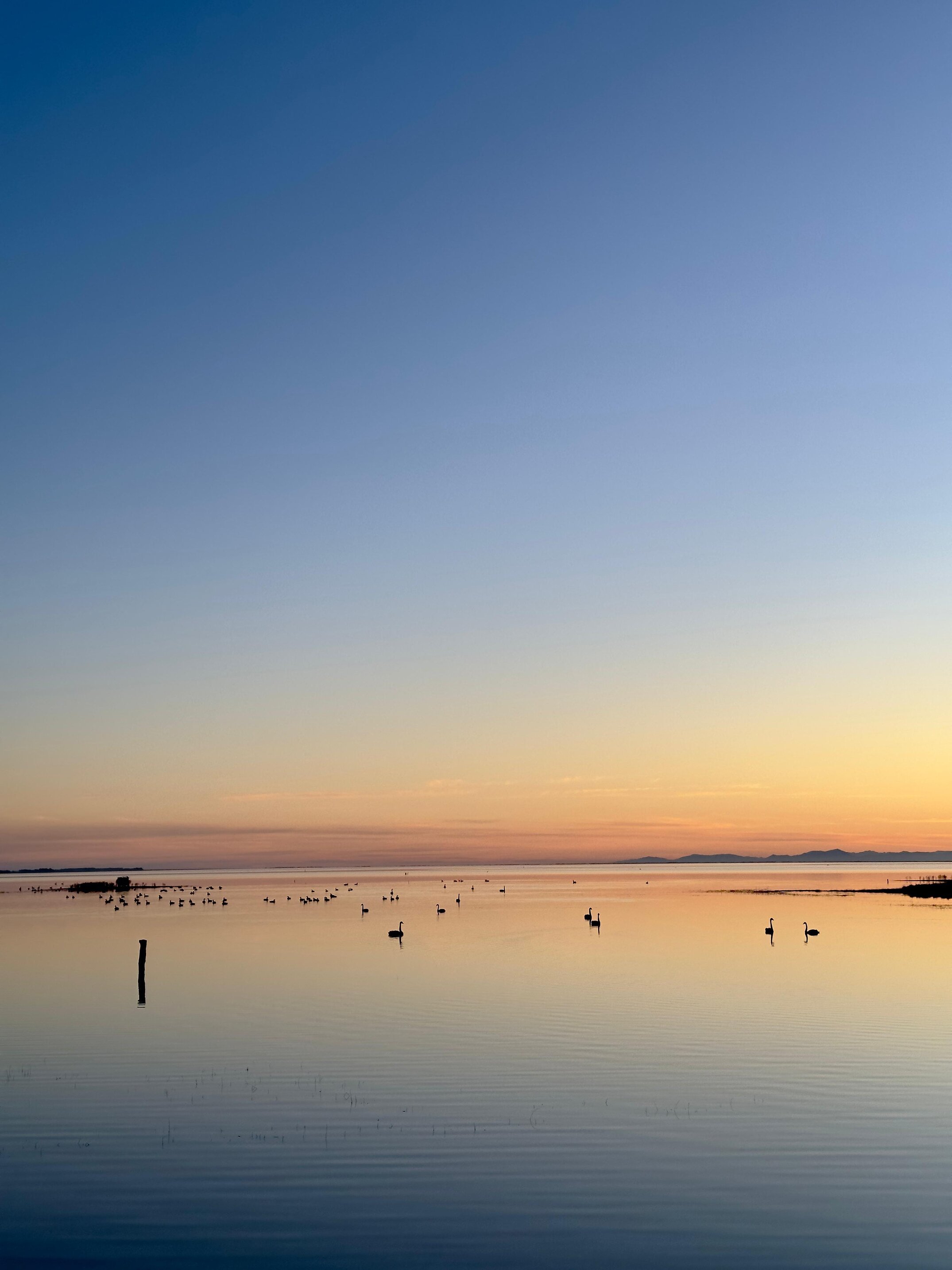 A calm evening scene at Lake Ellesmere
