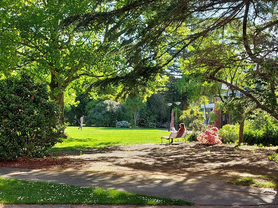 Studying al fresco - a rare calm day in Spring 2025 at the Forbes lawn