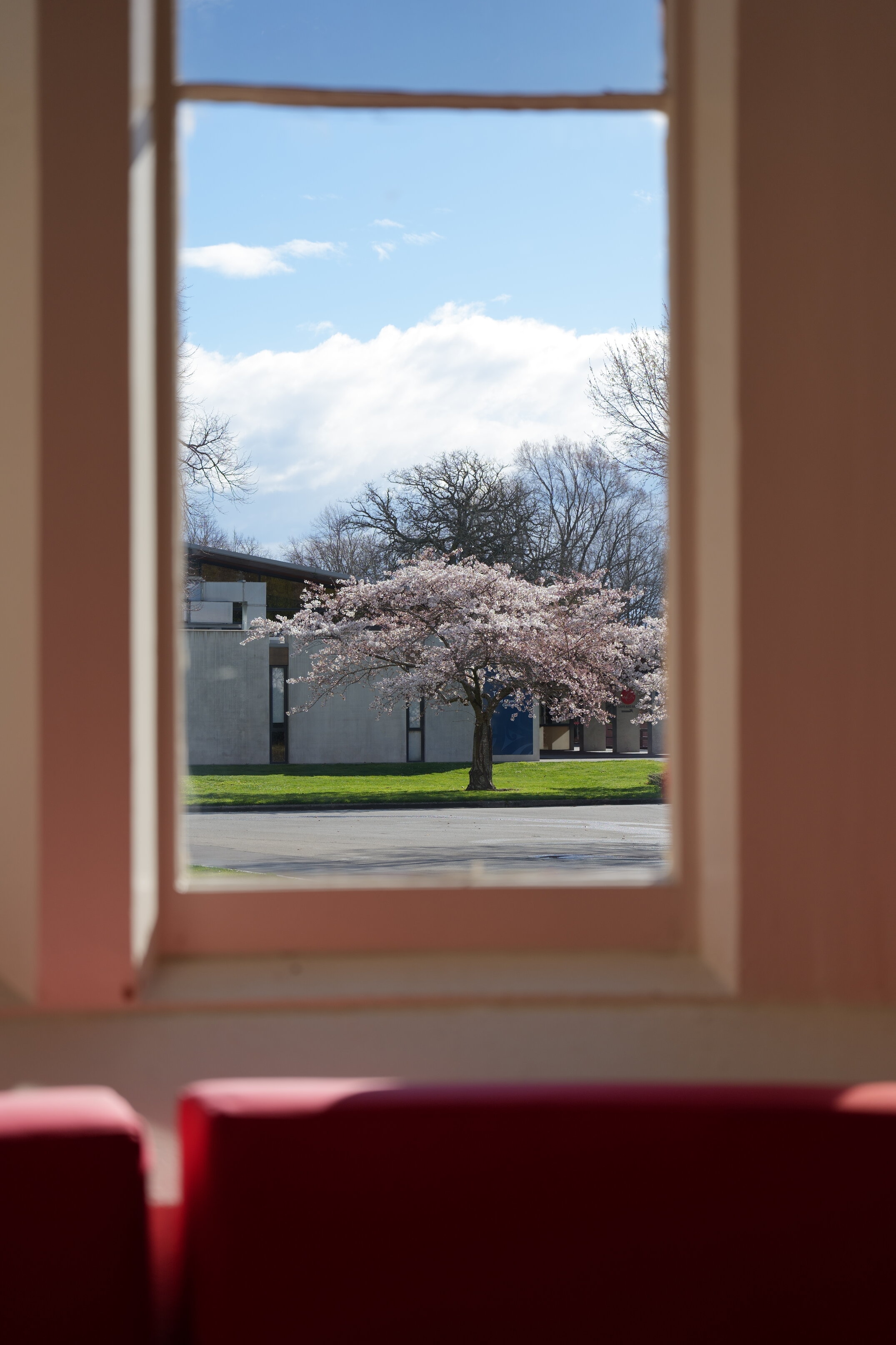 Spring Scent through Ivey Hall
