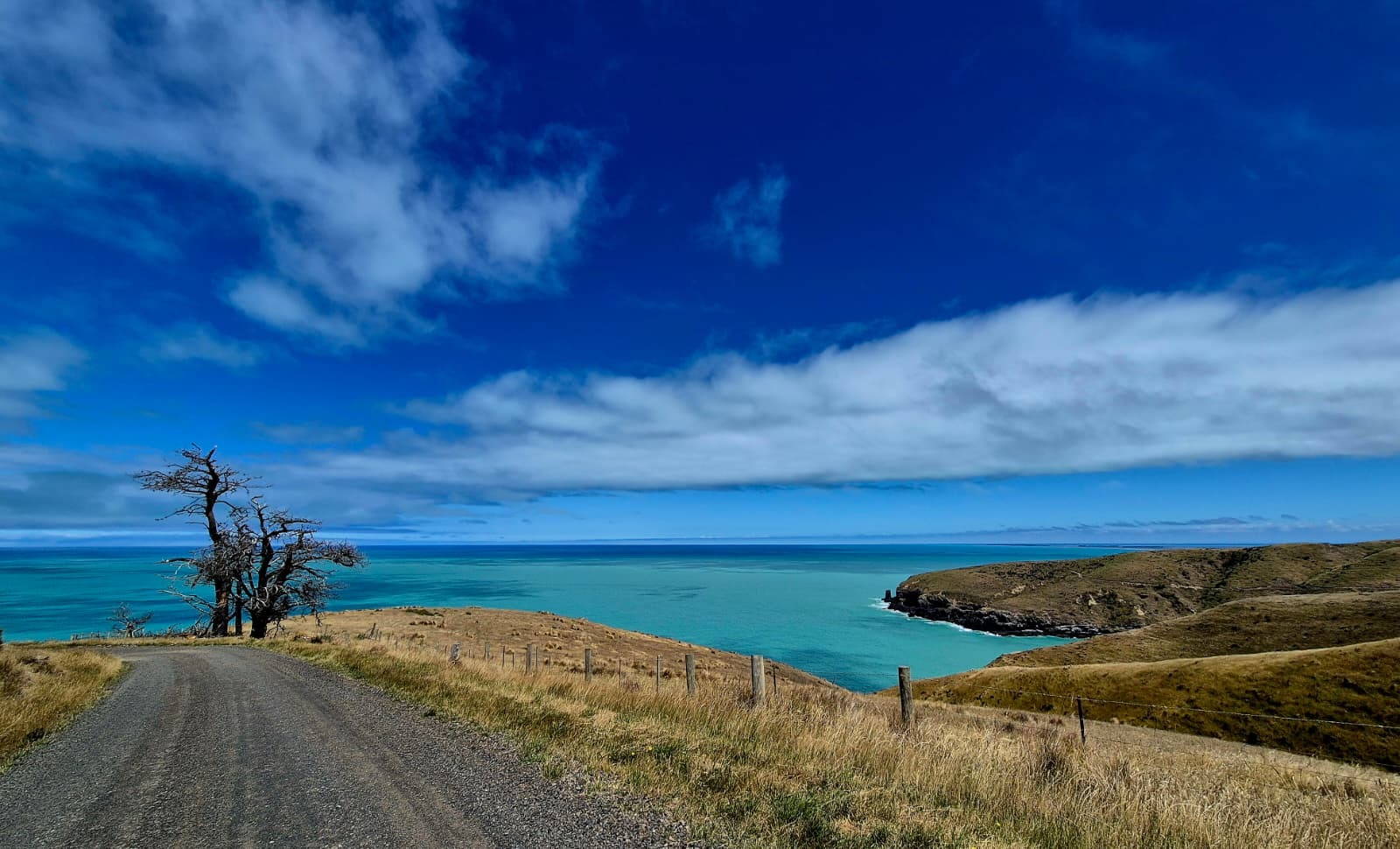 The blue waters: the breathtaking view when you are heading towards Te Oka Bay, Banks Peninsula