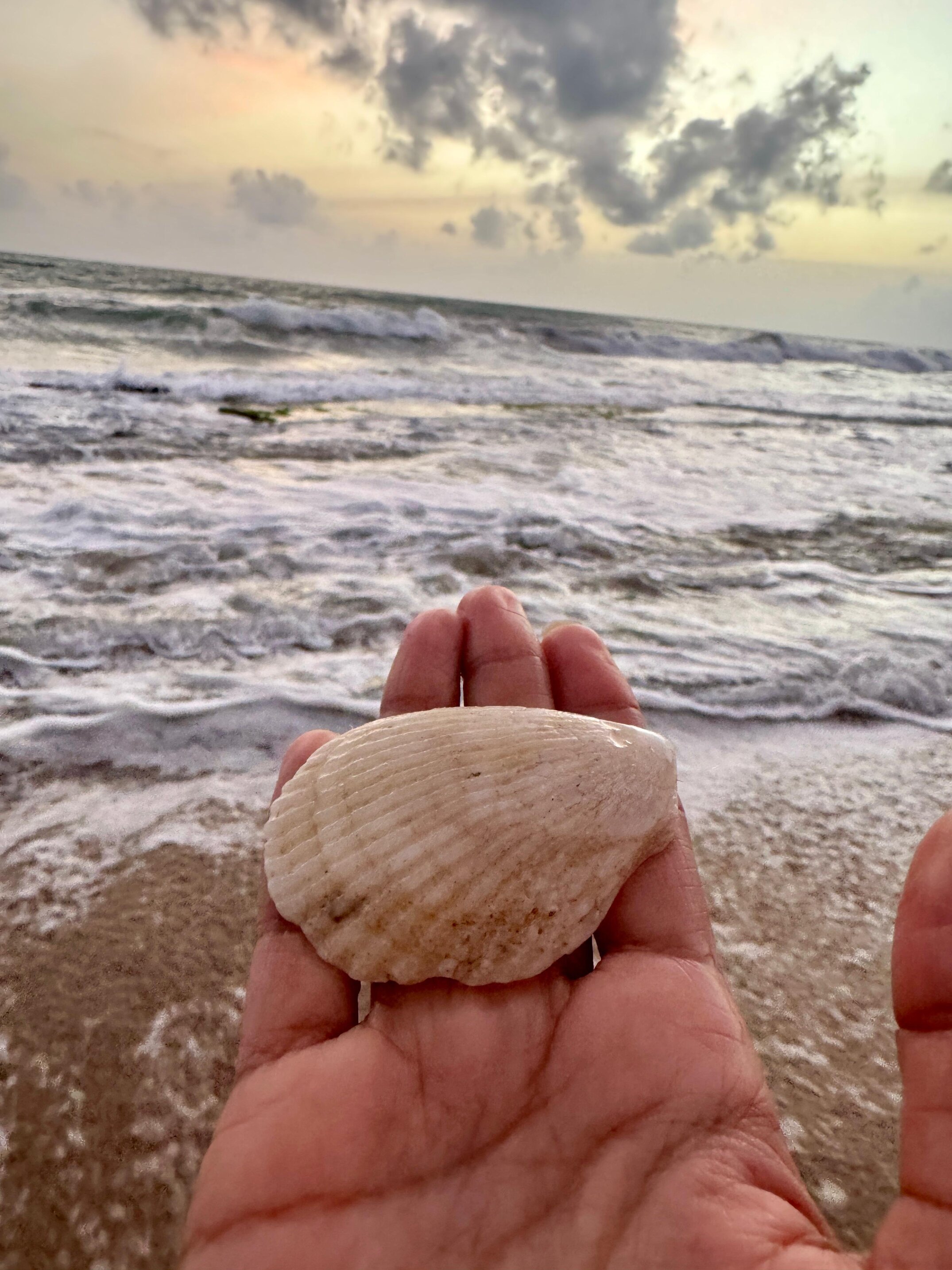 The golden sands of the Southern Sri Lanka's serene beach.