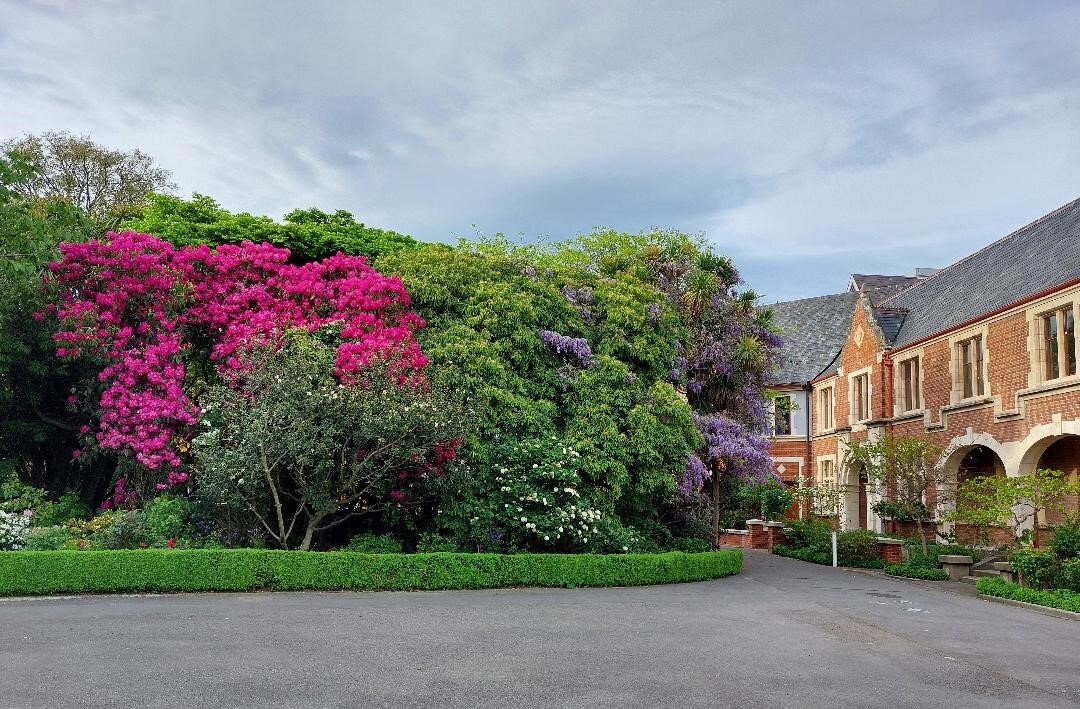 Wisteria and Ivey - spring in the formal garden near Ivey Hall
