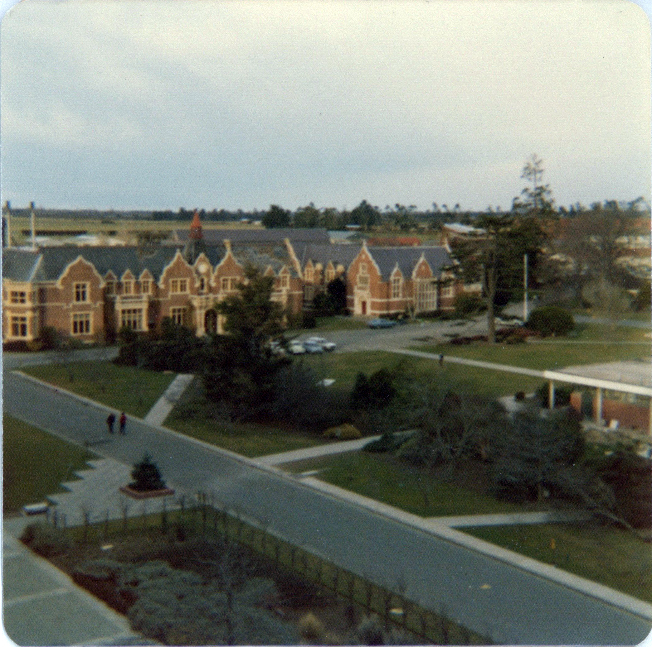 Storm Damage to Monkey Puzzle Tree Outside Ivey Hall (1 August 1975) 03