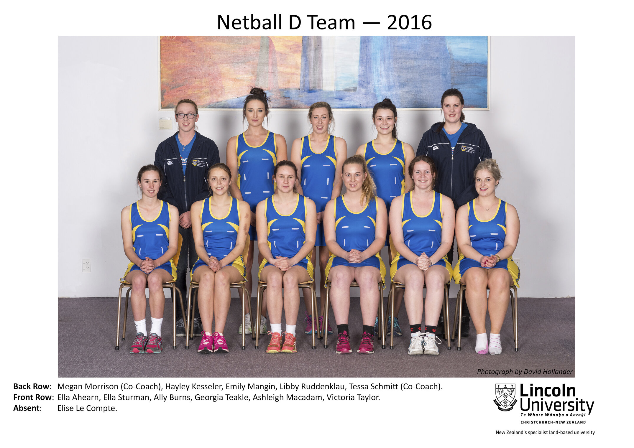 2016 Netball D Team