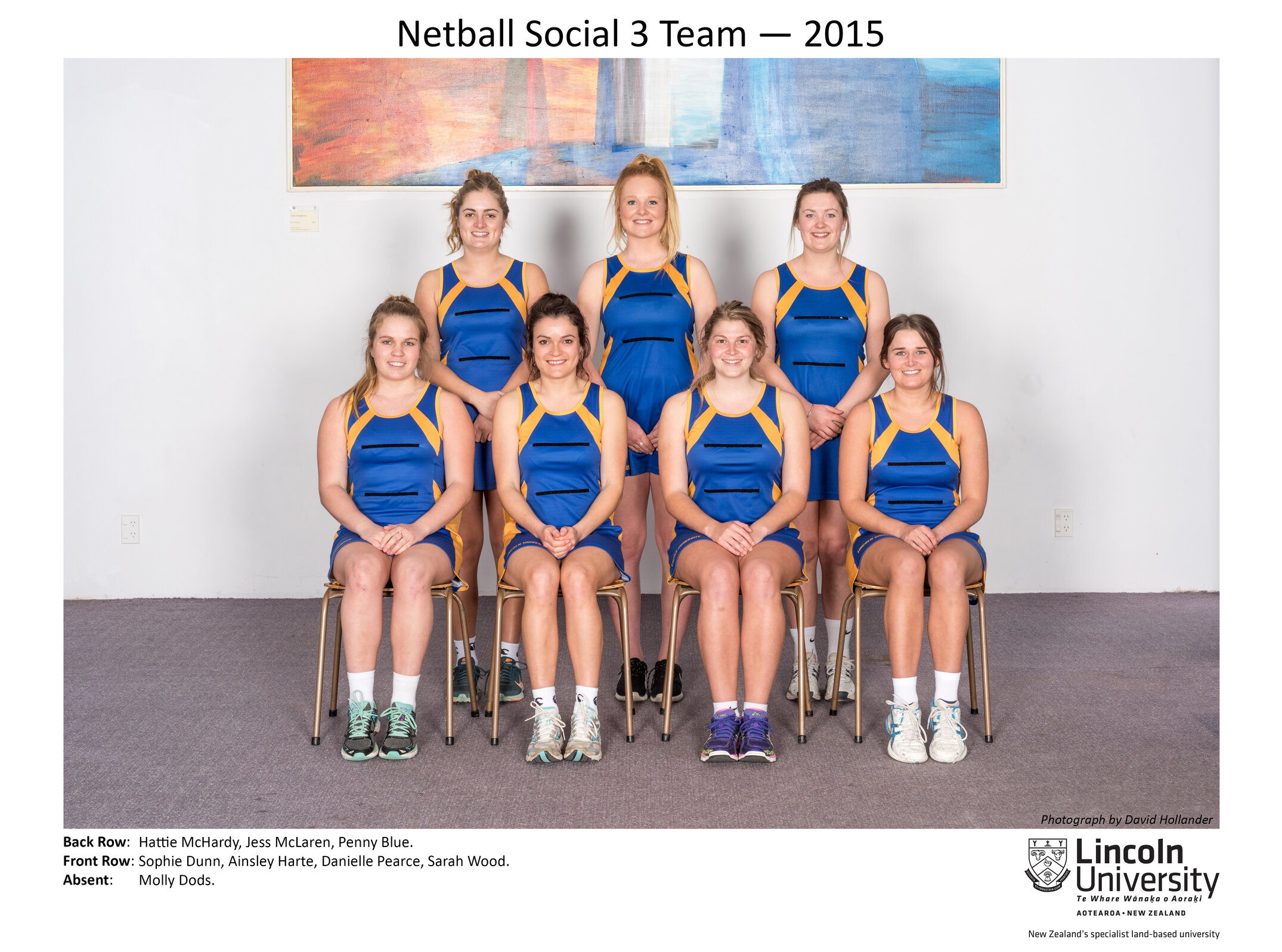 2015 Netball Social 3 Team
