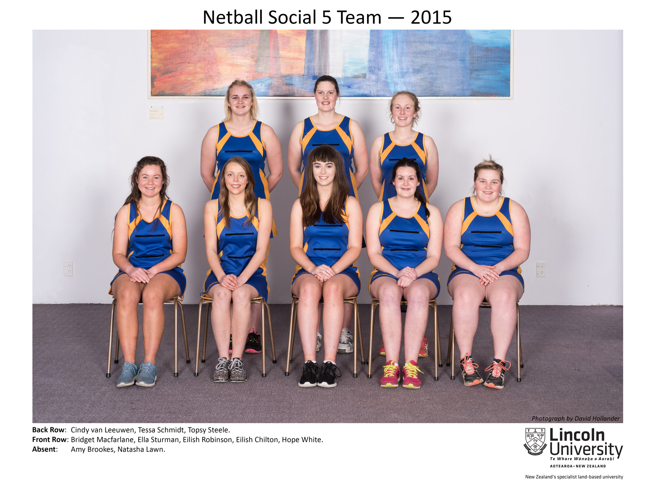 2015 Netball Social 5 Team
