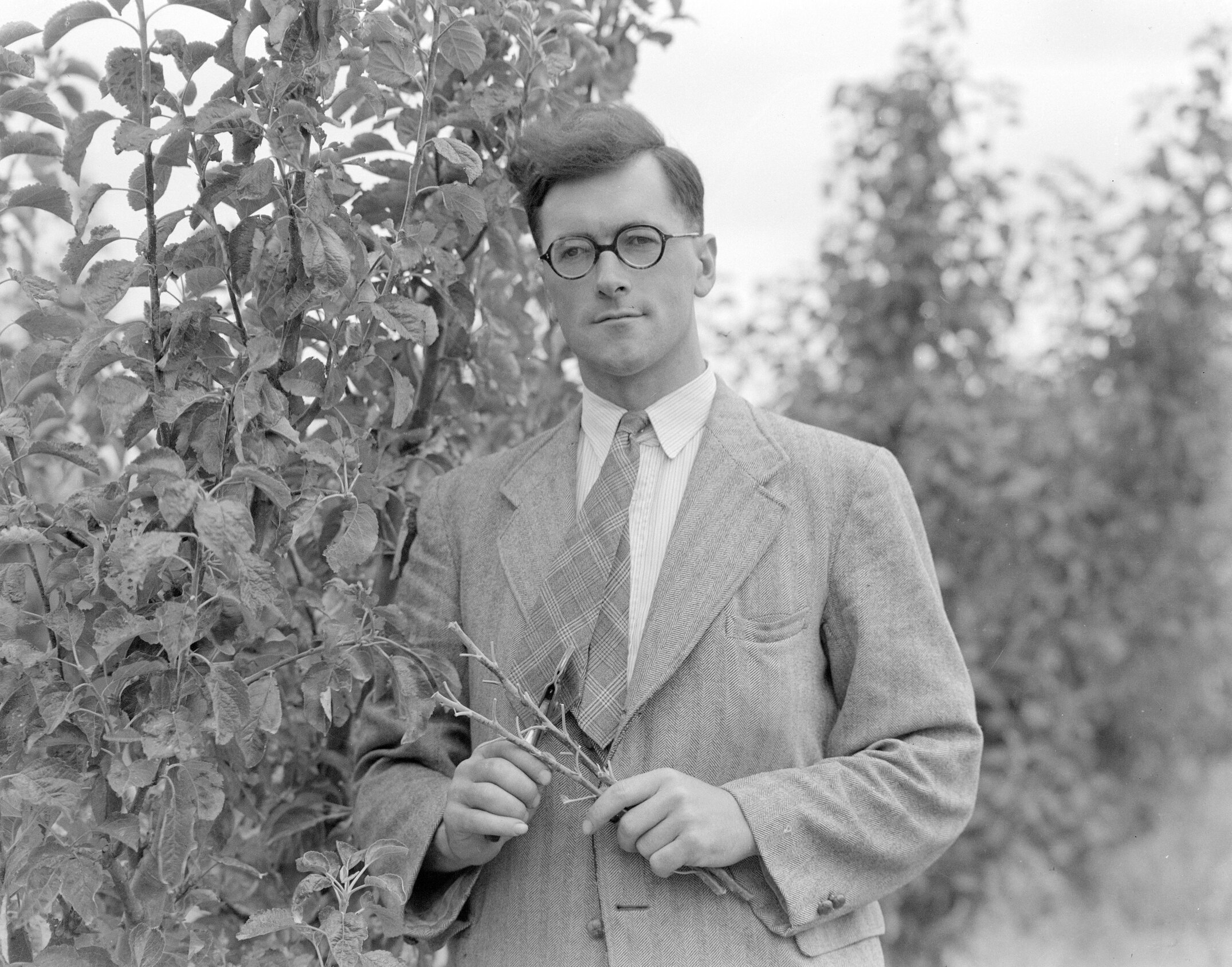 John H. Glazebrook, lecturer in Horticulture c1960 (Blackmore Neg 5208)