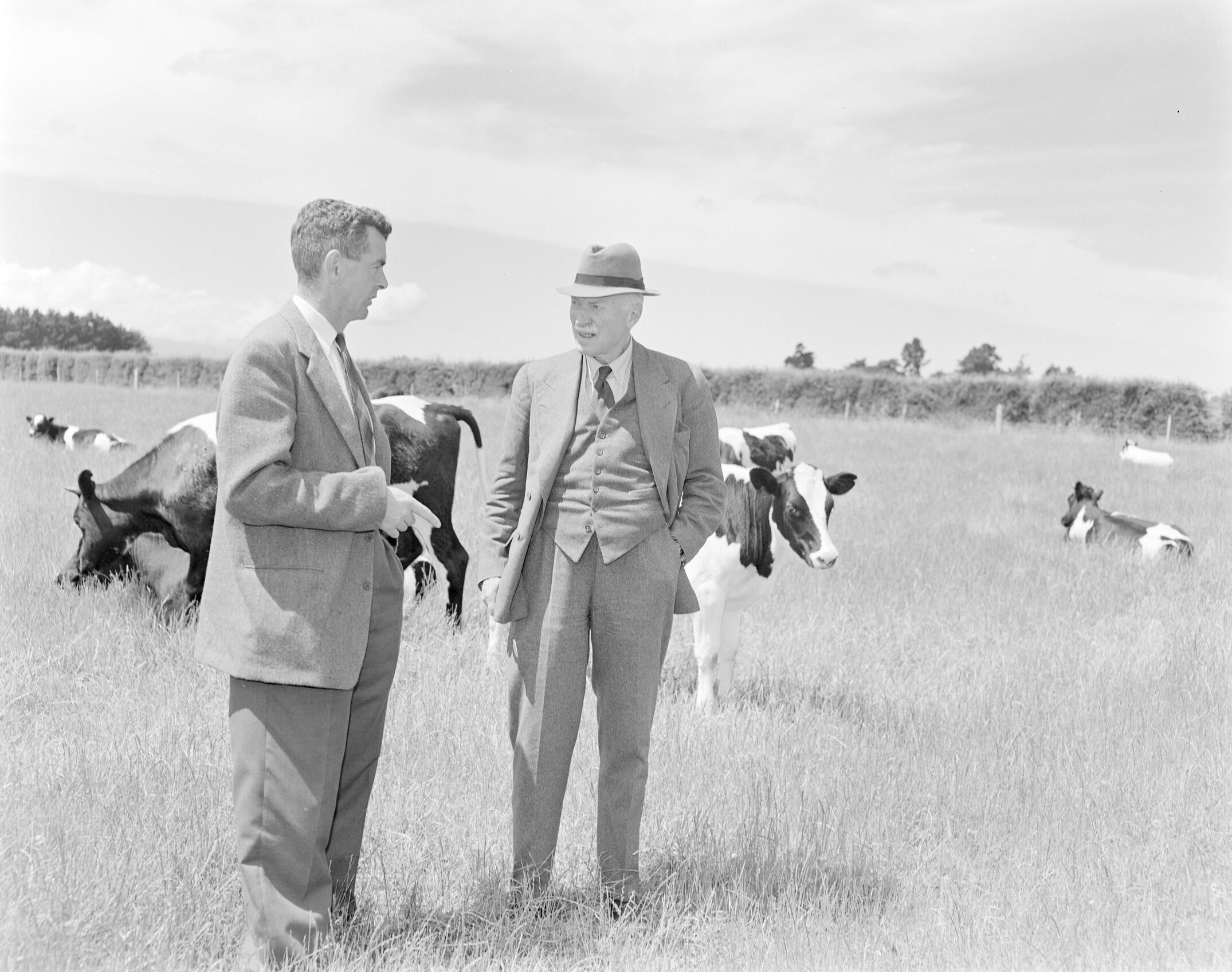 Lord Middleton discusses dairy stock rearing with M Hollard, 1961(Blackmore Neg 5921)