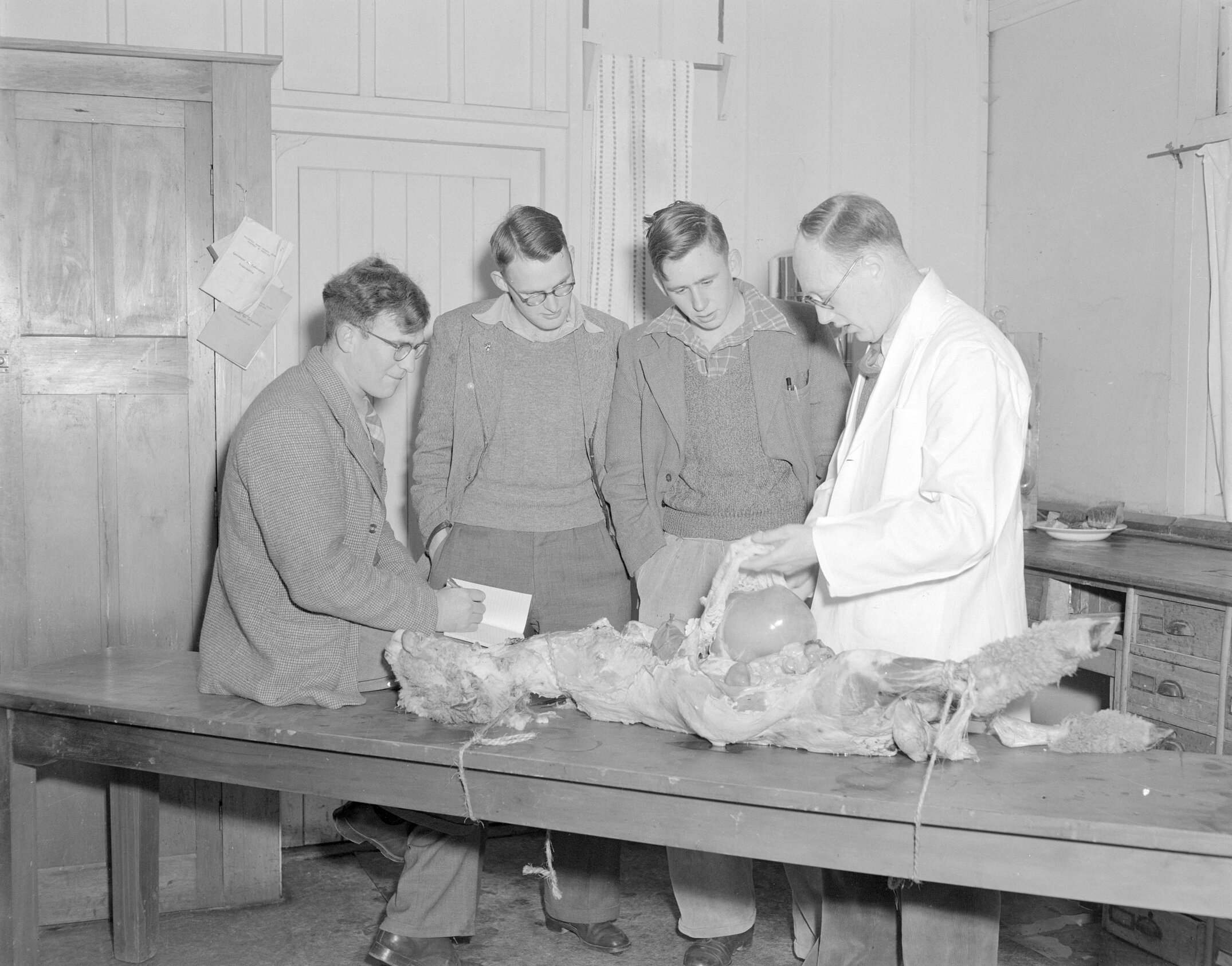 G.G. Thomson with veterinary science students c1962 (Blackmore Neg 5936)