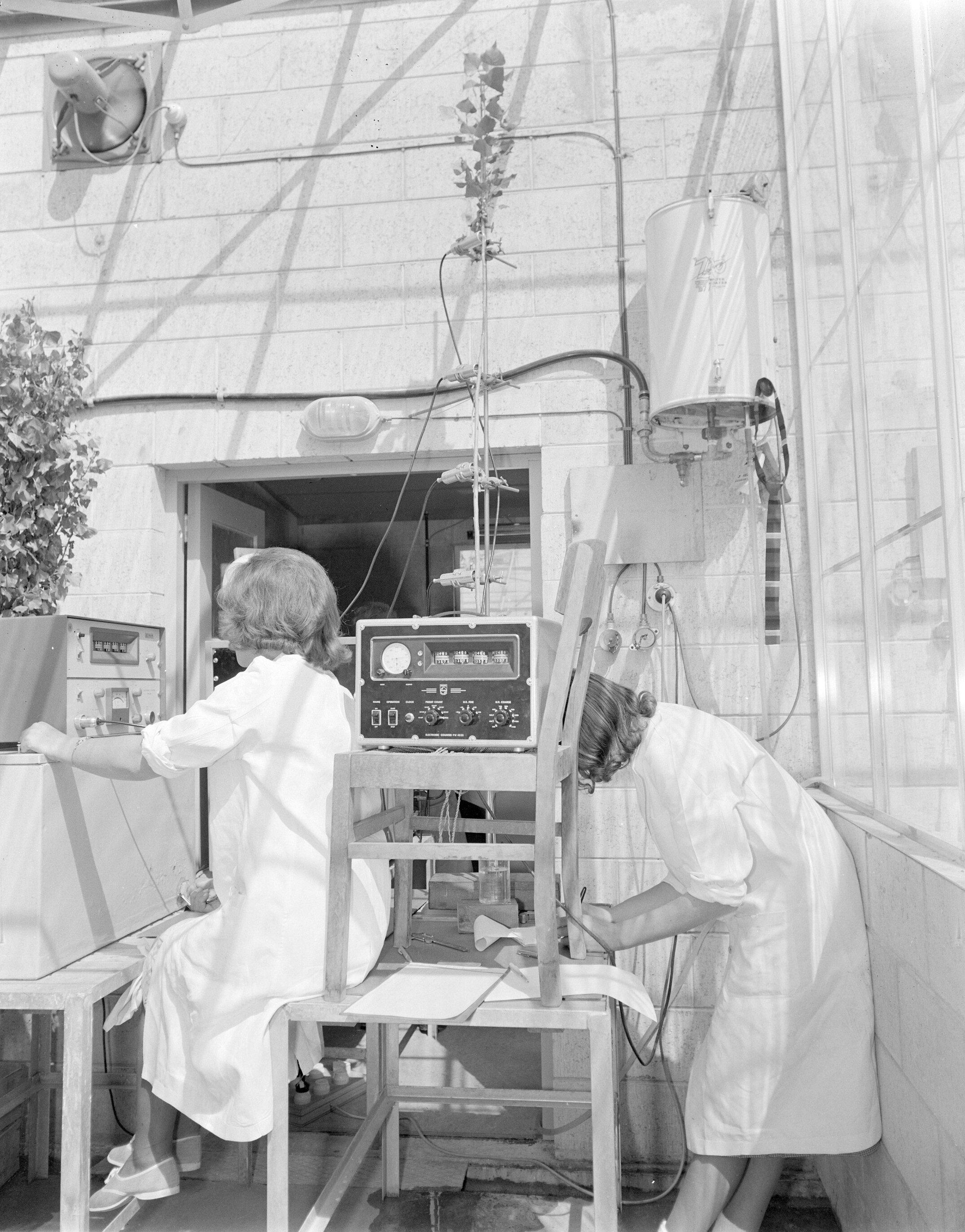 Plant nutrition studies using radioscopes (Blackmore Neg 5933)