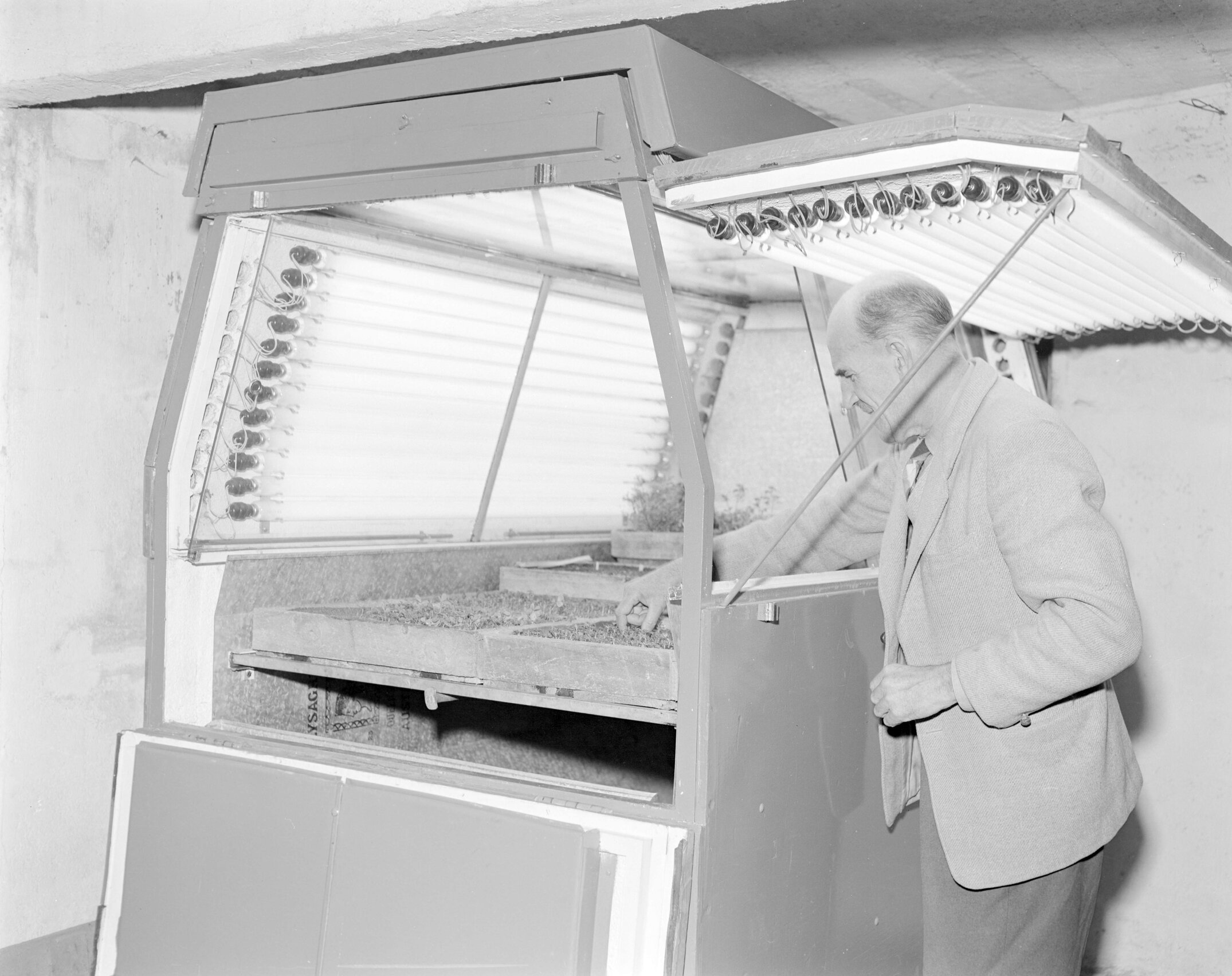 C.E. Iversen uses a growth cabinet, early 1960s (Blackmore Neg 5937)