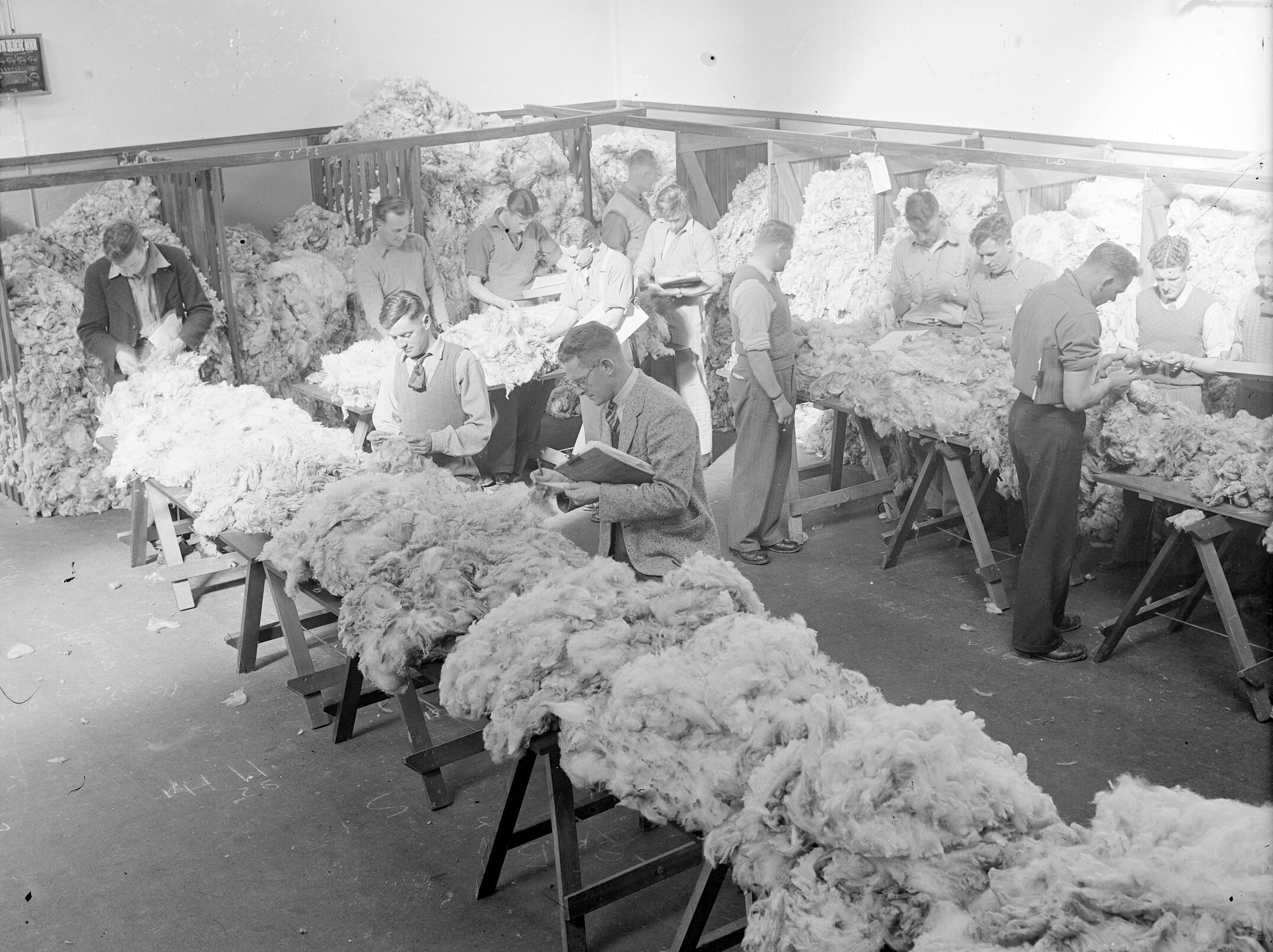 Wool grading c1960 (Blackmore Neg 5977)
