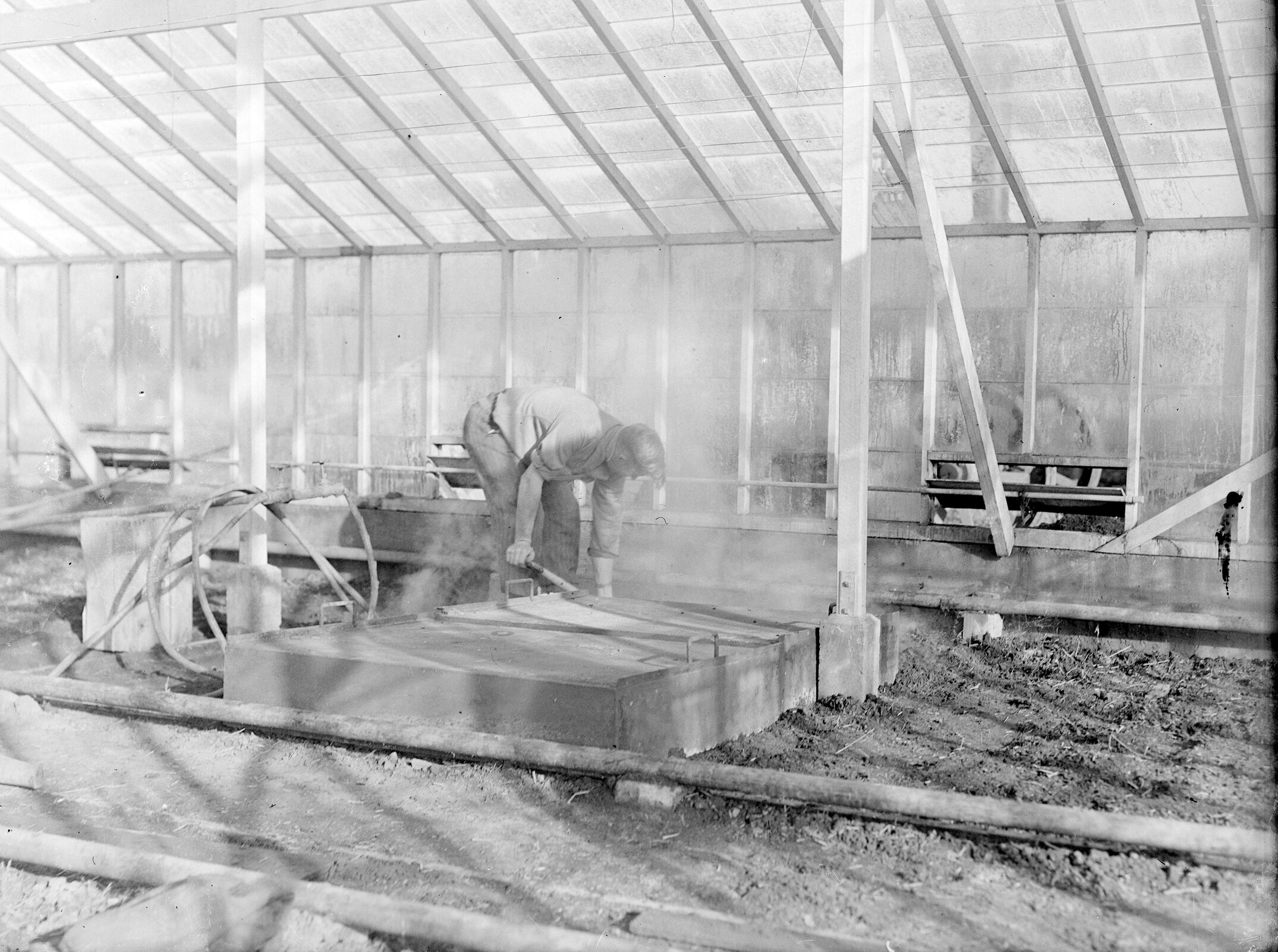 Greenhouse Soil Preparation Activity c1960 (Blackmore Neg.5979)